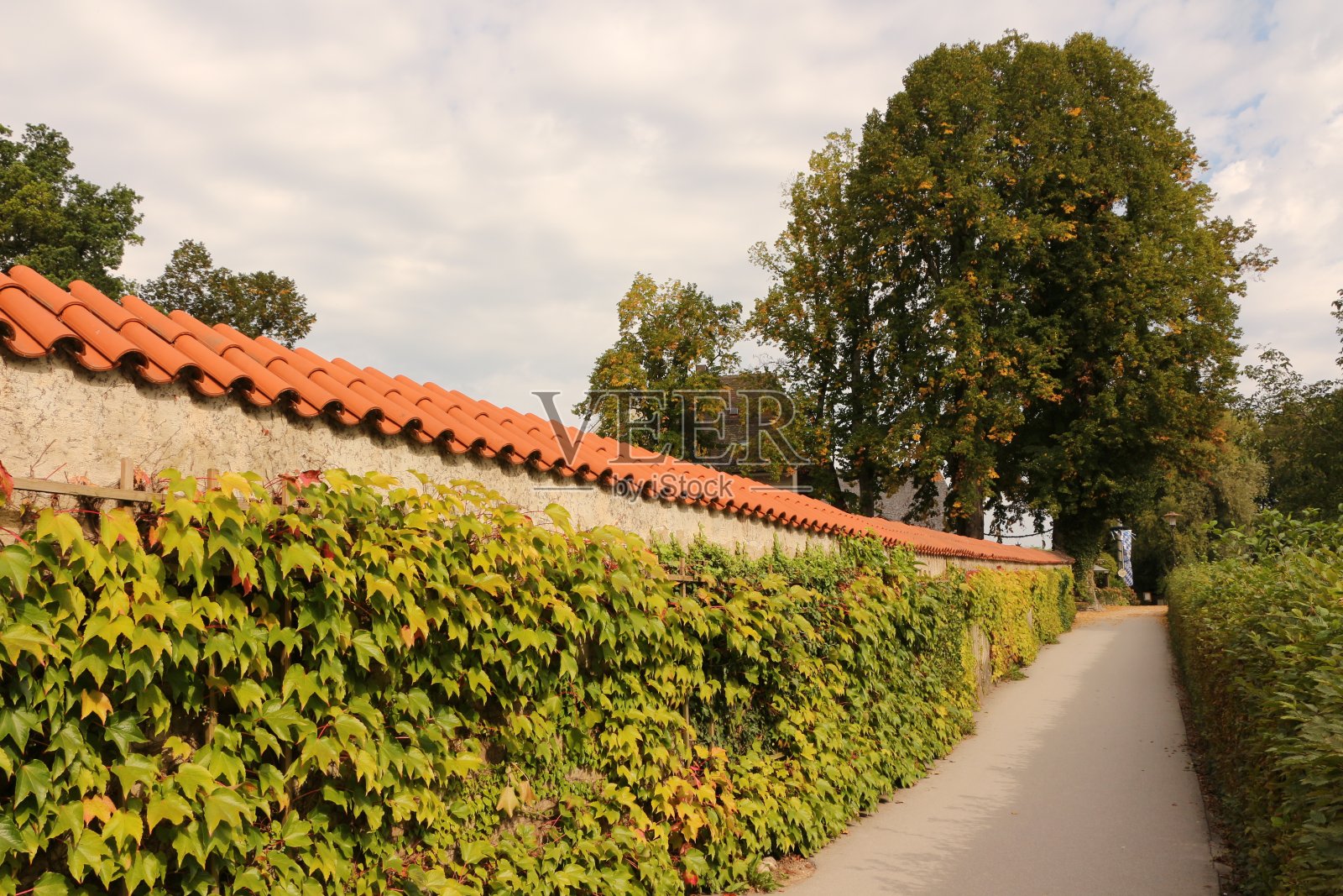 基姆西湖少女的印象照片摄影图片
