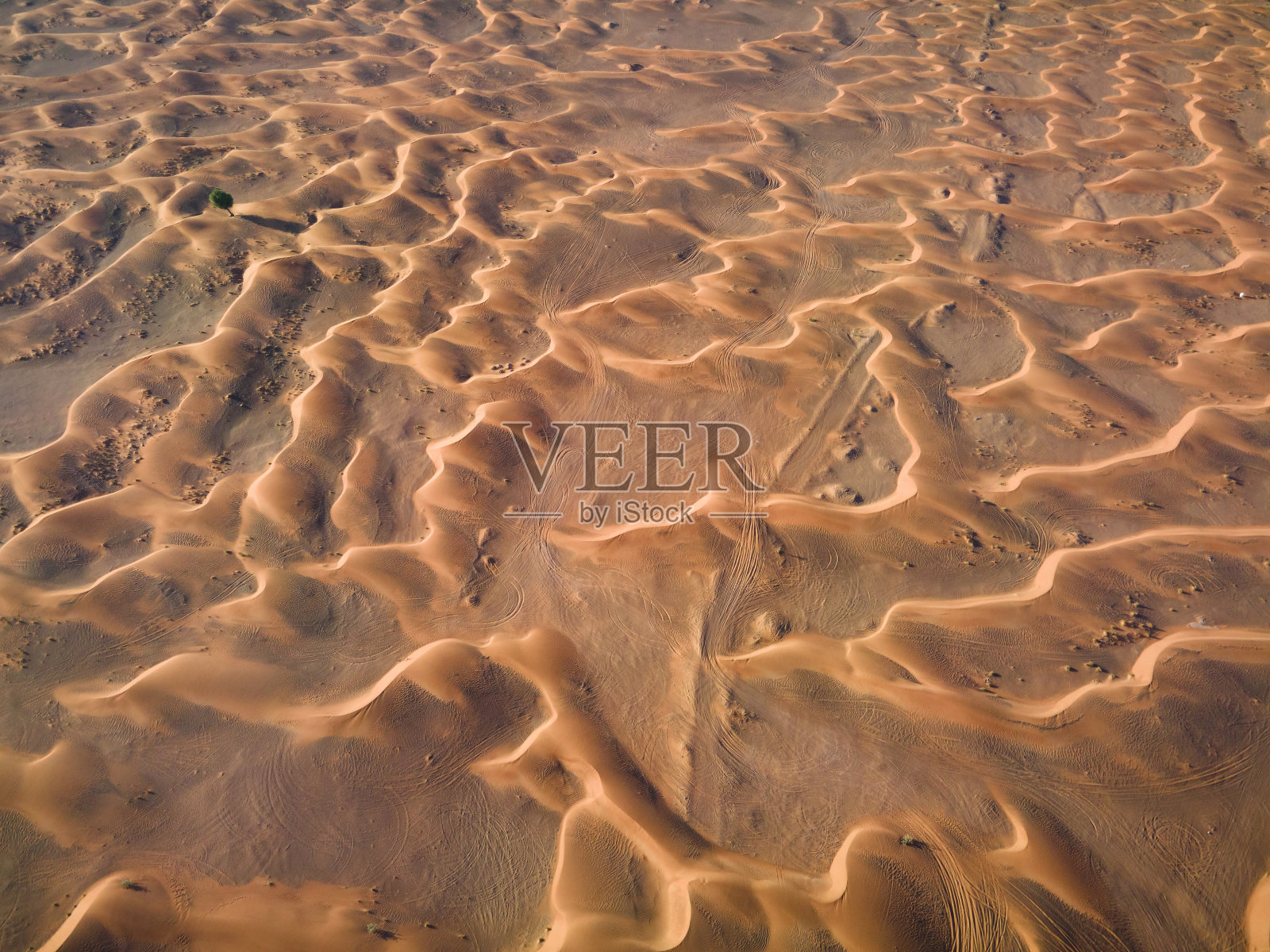 阿联酋沙迦沙漠沙丘景观照片摄影图片