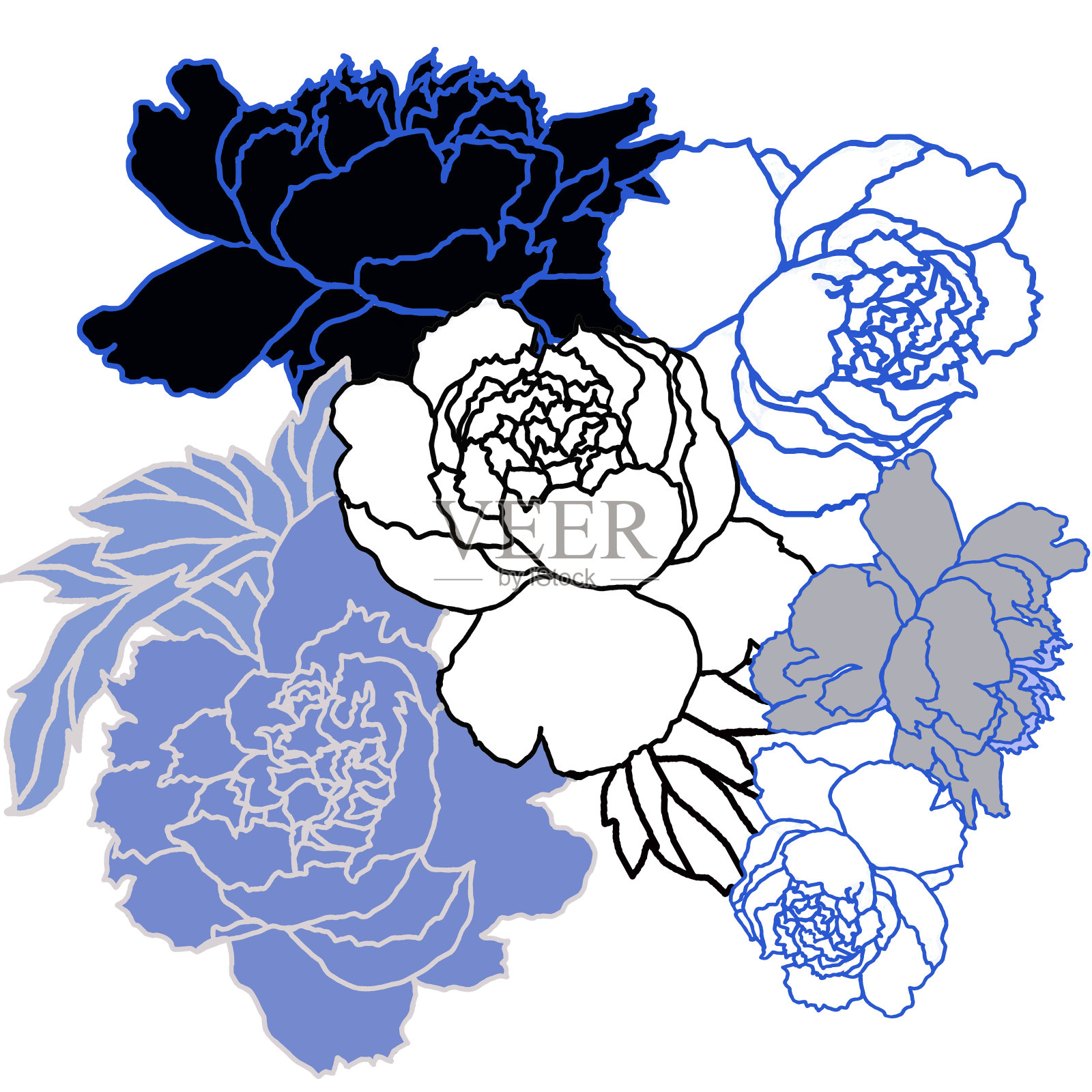 图形牡丹预算孤立在白色插图。插画图片素材