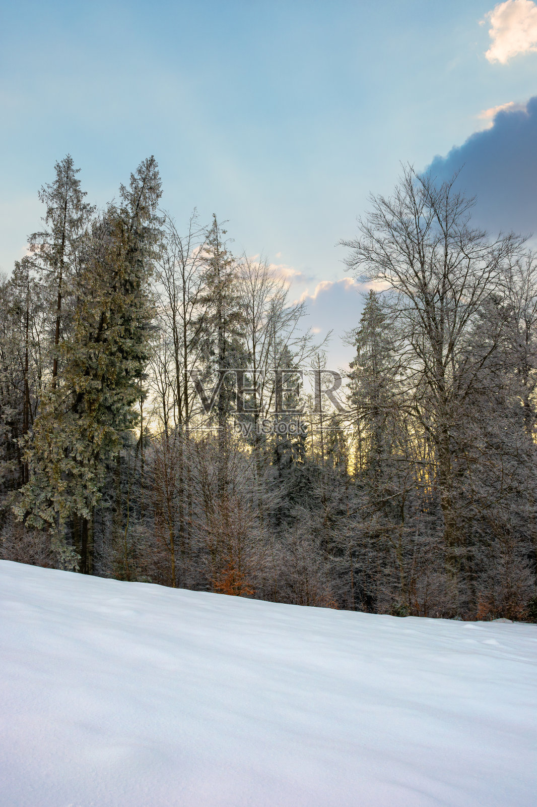 黎明时分的冬日景色照片摄影图片