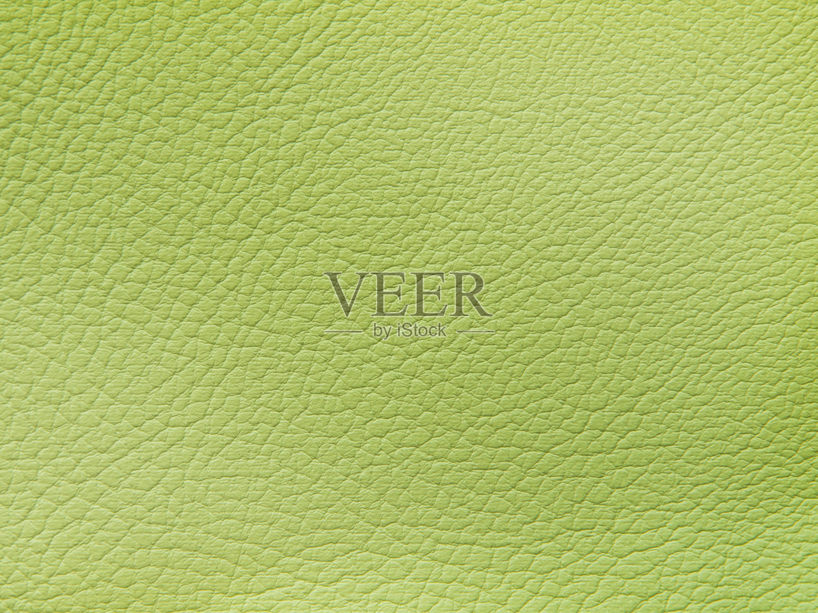 真皮纹理自然花纹。绿色照片摄影图片