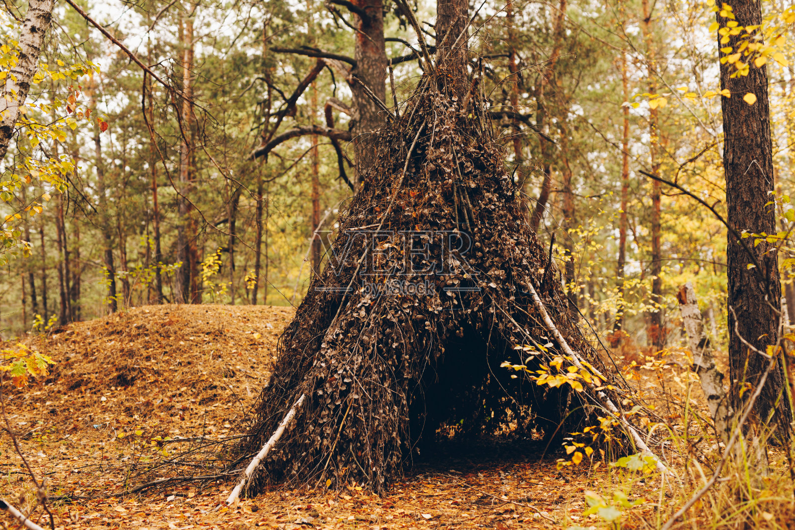 森林手工小屋照片摄影图片