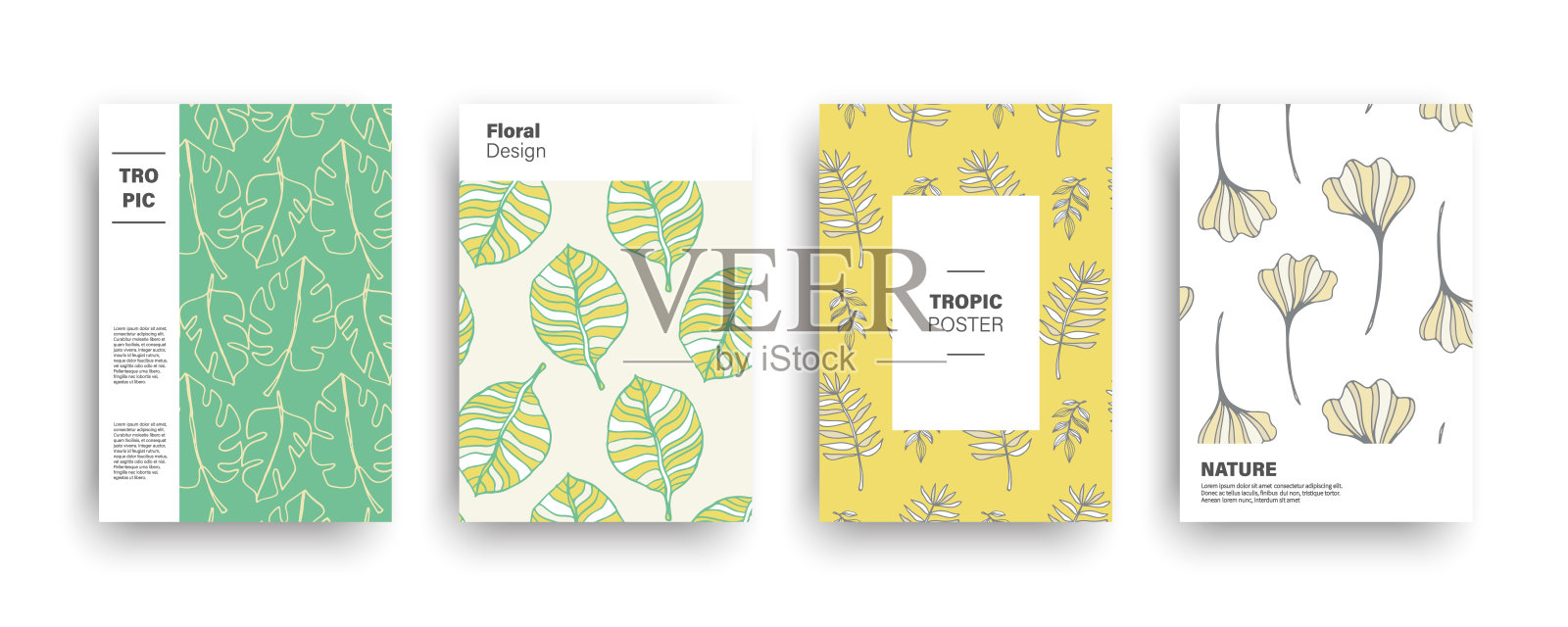 热带自然异域盖套插画图片素材