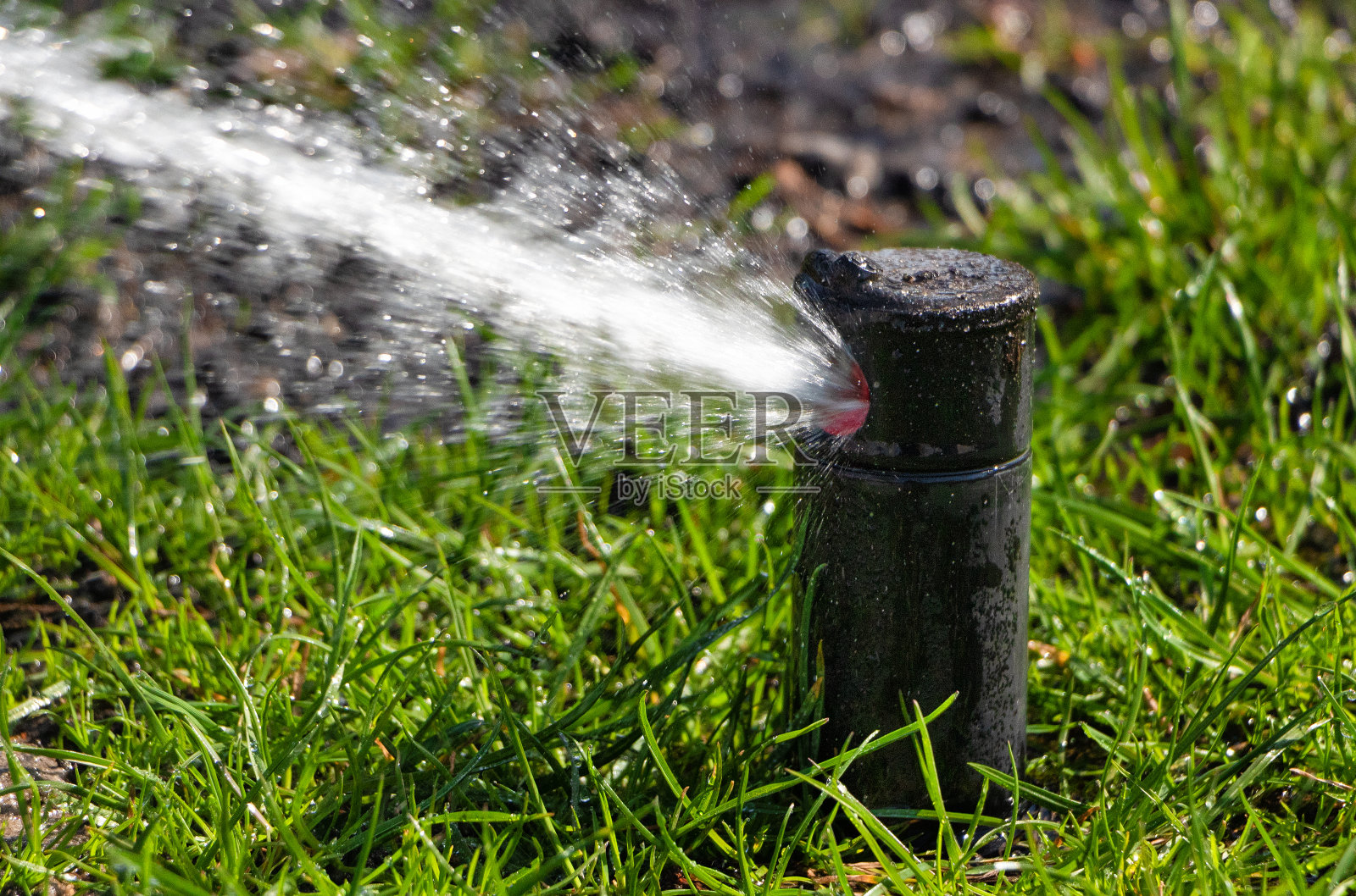 喷头自动喷水特写。照片摄影图片