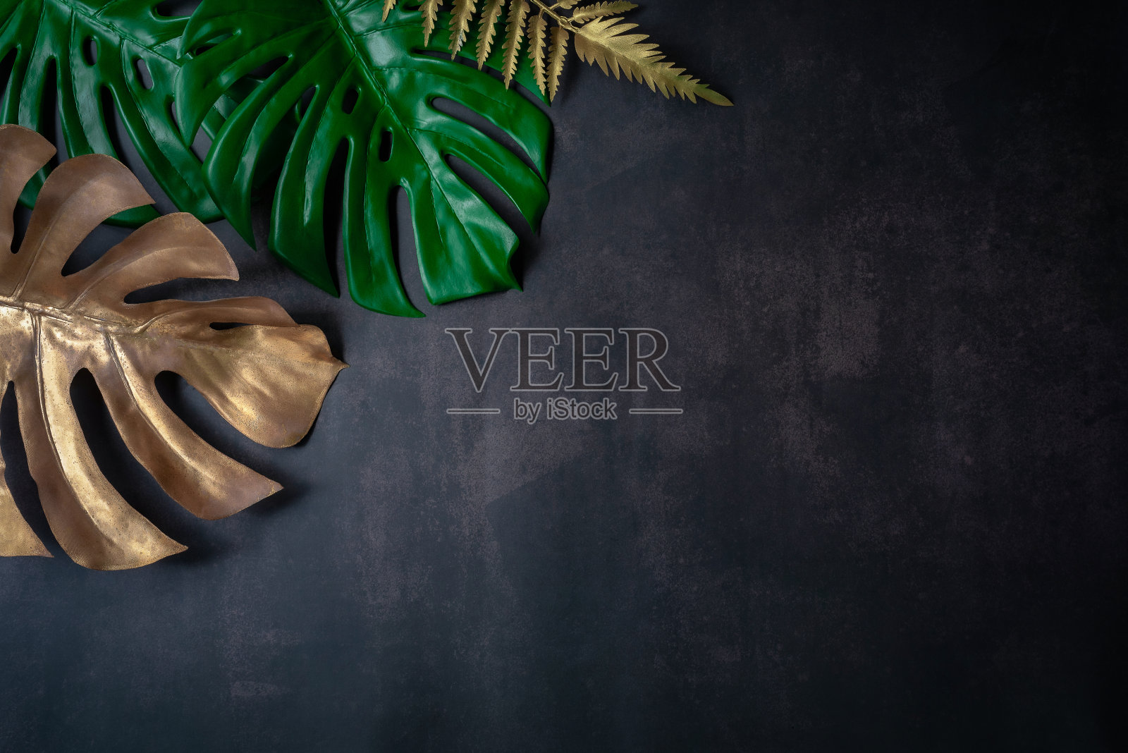 绿色背景的概念。热带绿叶,丛林叶近处照片摄影图片