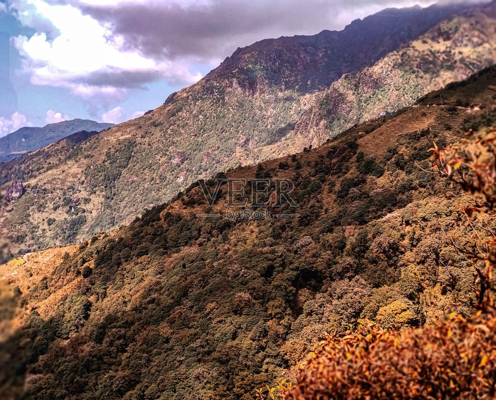 Singalila国家公园。照片摄影图片