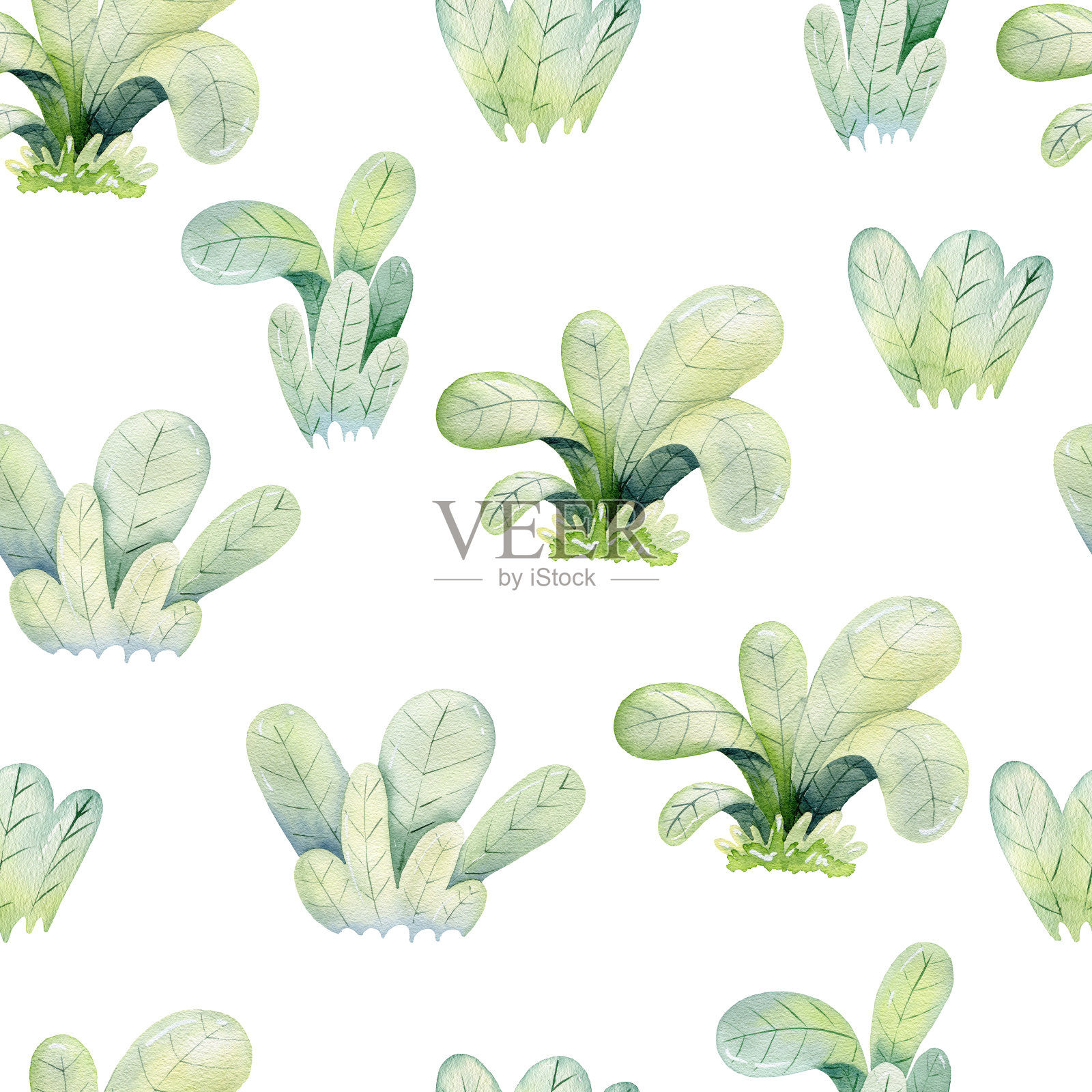 水彩绿灌木。插画图片素材