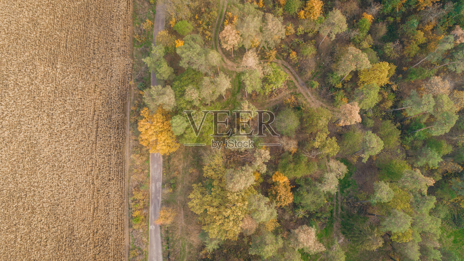绿色田野和秋季森林鸟瞰图照片摄影图片