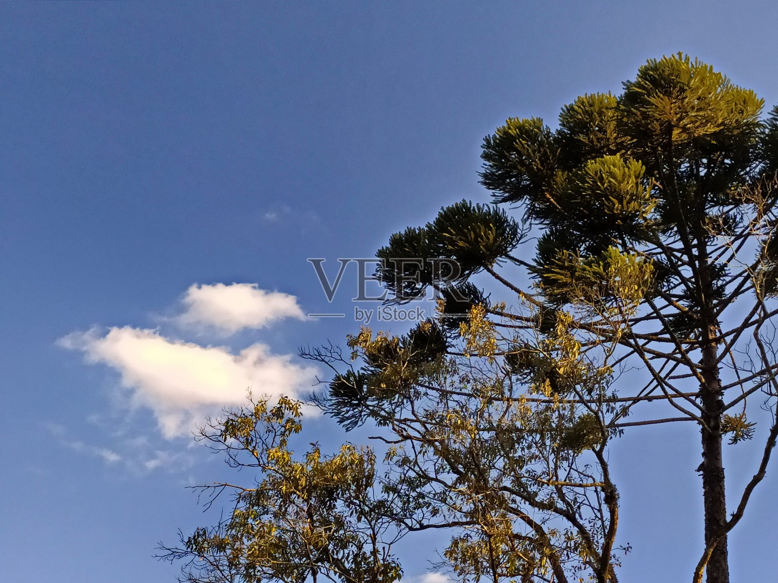 美丽的圣卡塔琳娜风景照片摄影图片