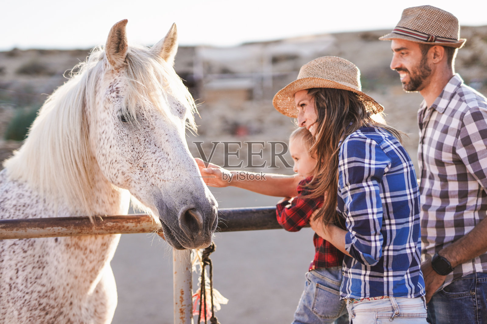 快乐的父母和小儿子在牧场上抚摸一匹马-家庭,孩子和动物的爱照片摄影图片