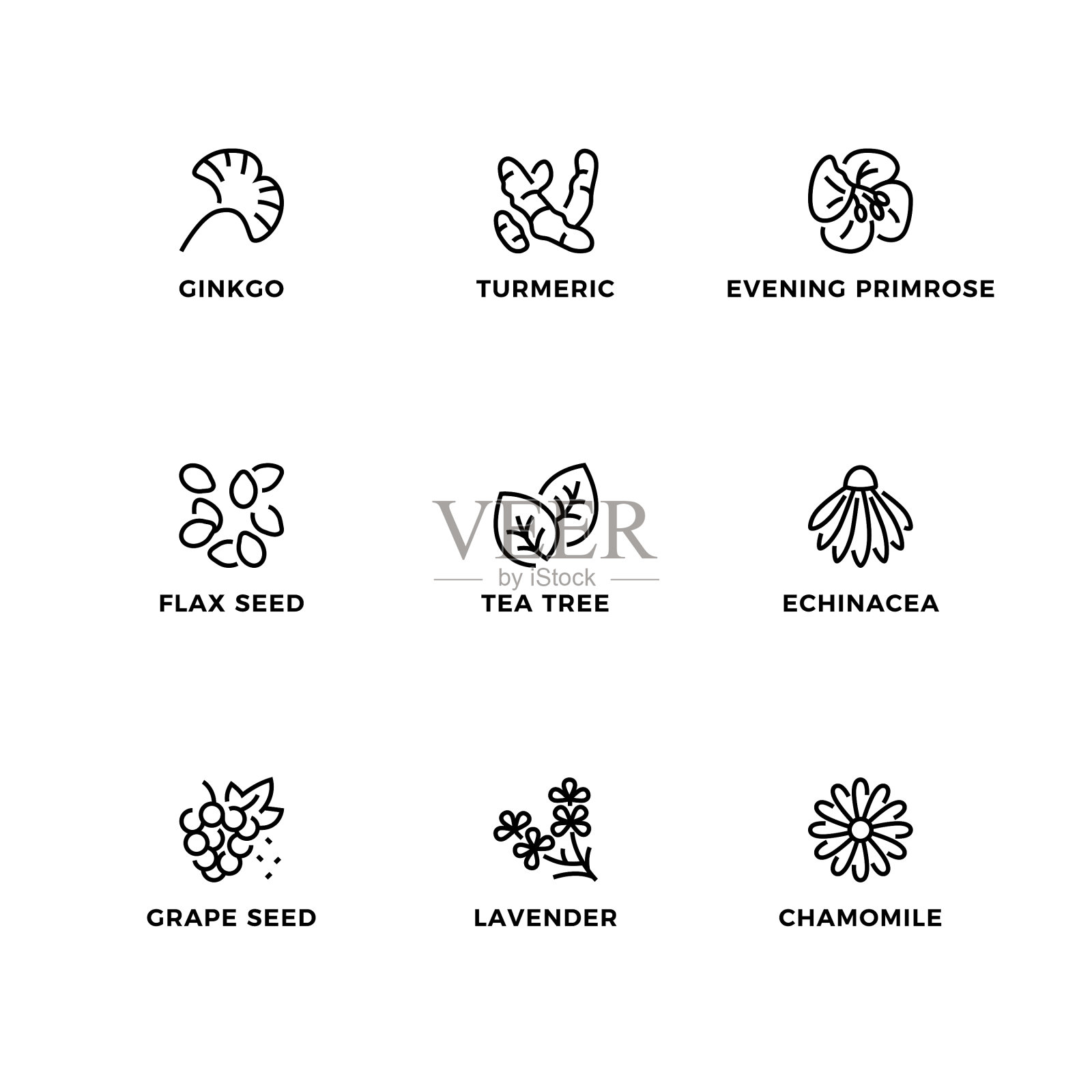 矢量集的设计元素,标志设计模板,图标和徽章的医疗植物。插画图片素材