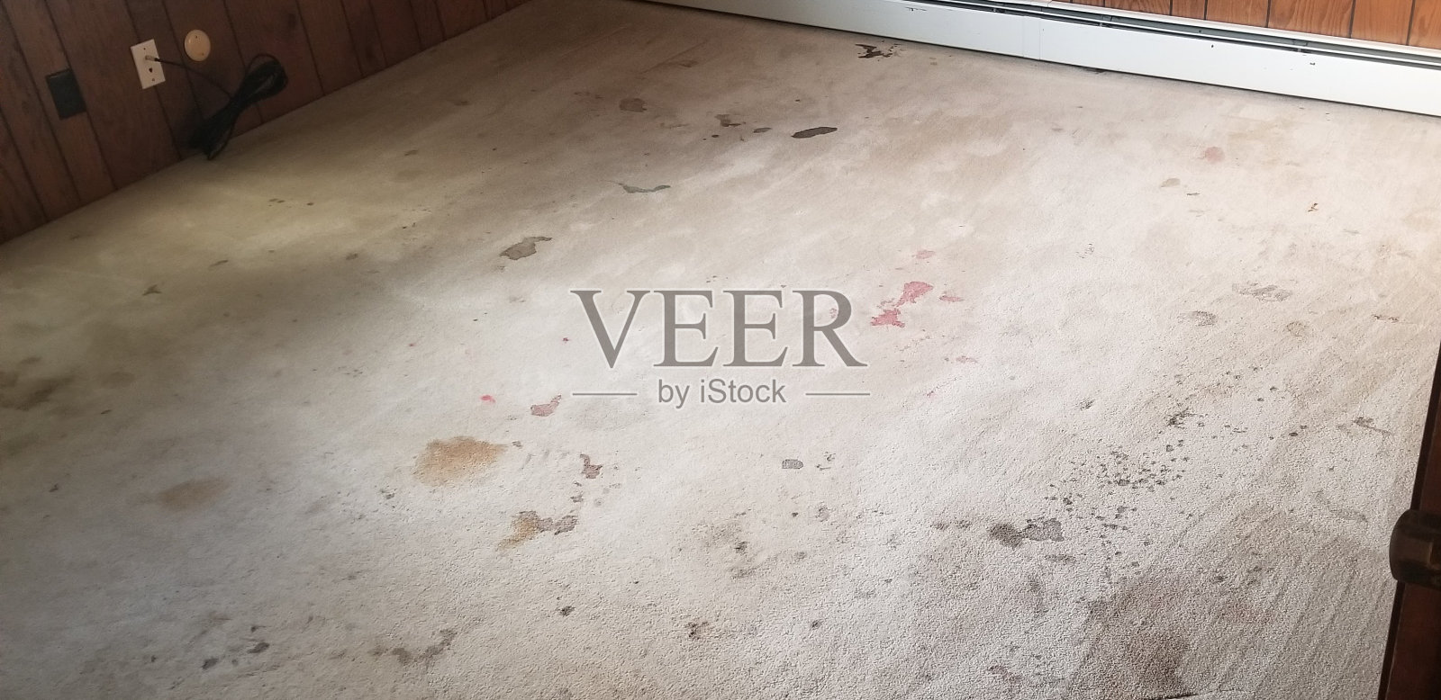 家里的地毯脏了照片摄影图片