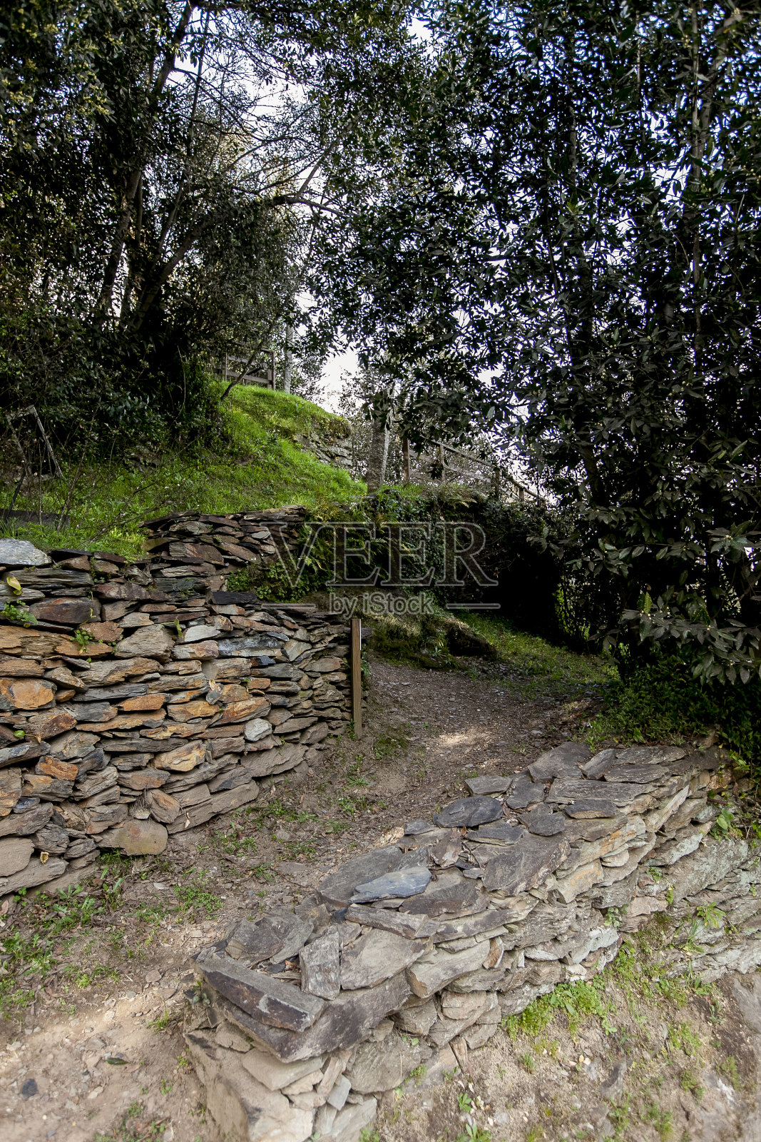 波尔图城堡植物园照片摄影图片