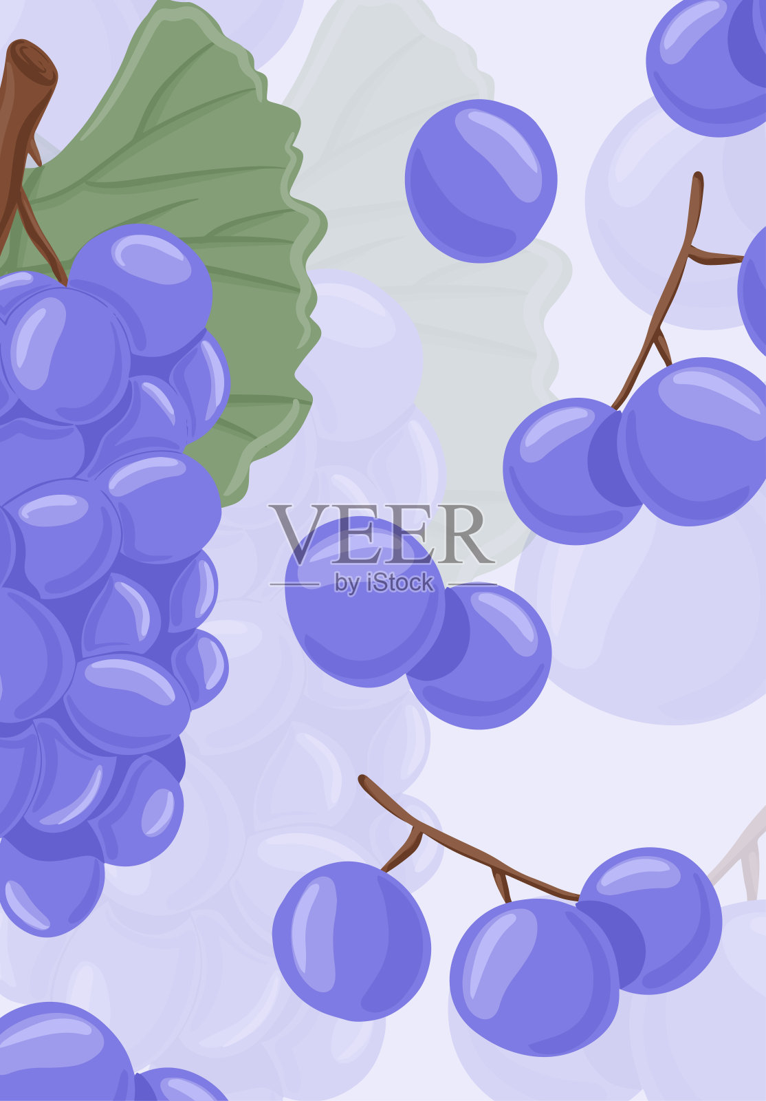 葡萄酒葡萄、餐桌葡萄矢量牌手绘设计。带叶子的树枝上有新鲜的浆果。设计元素图片