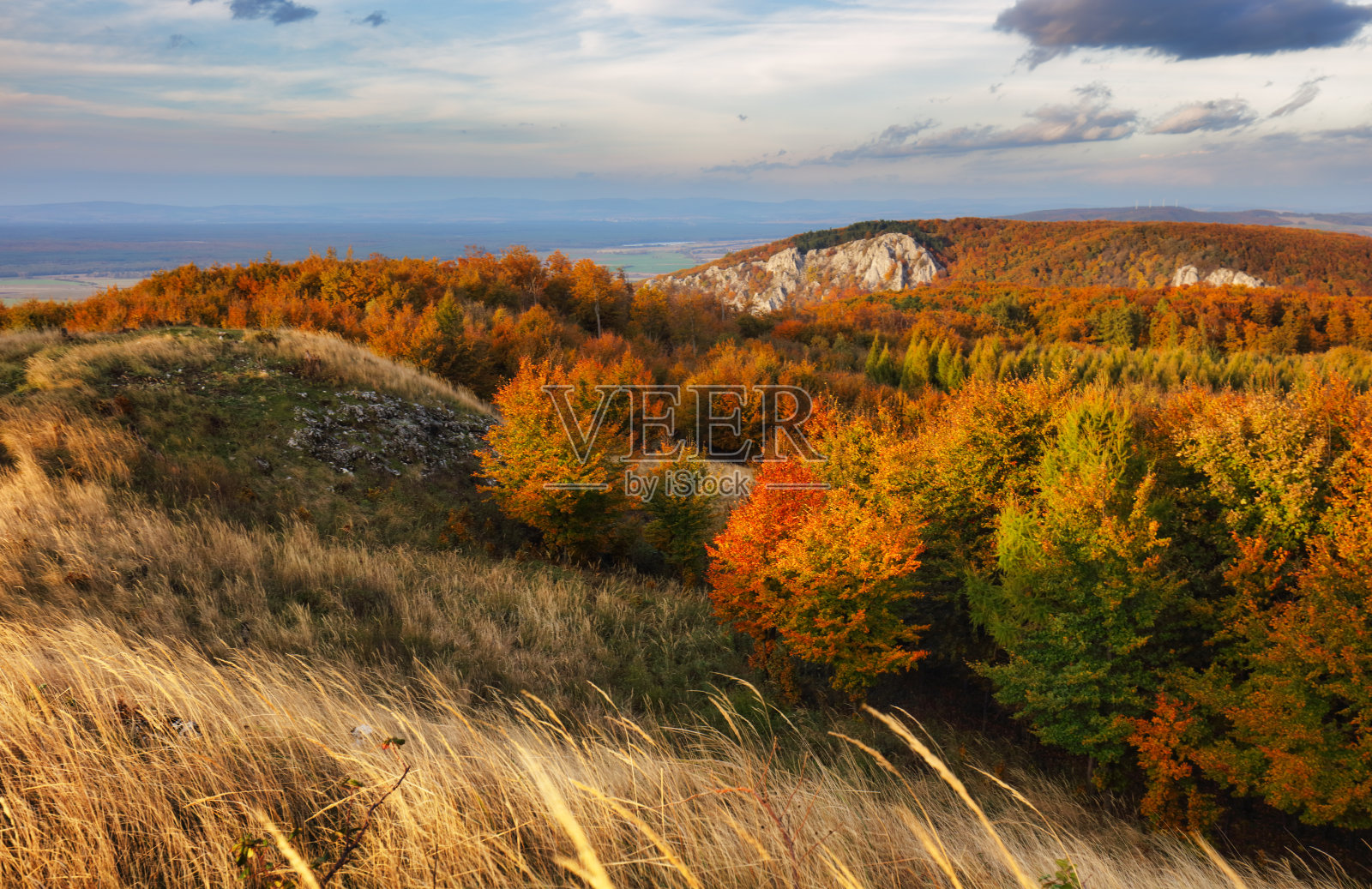 秋天在山上的森林照片摄影图片
