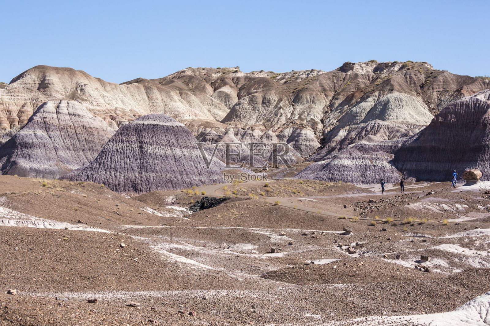 石化森林国家公园景观照片摄影图片