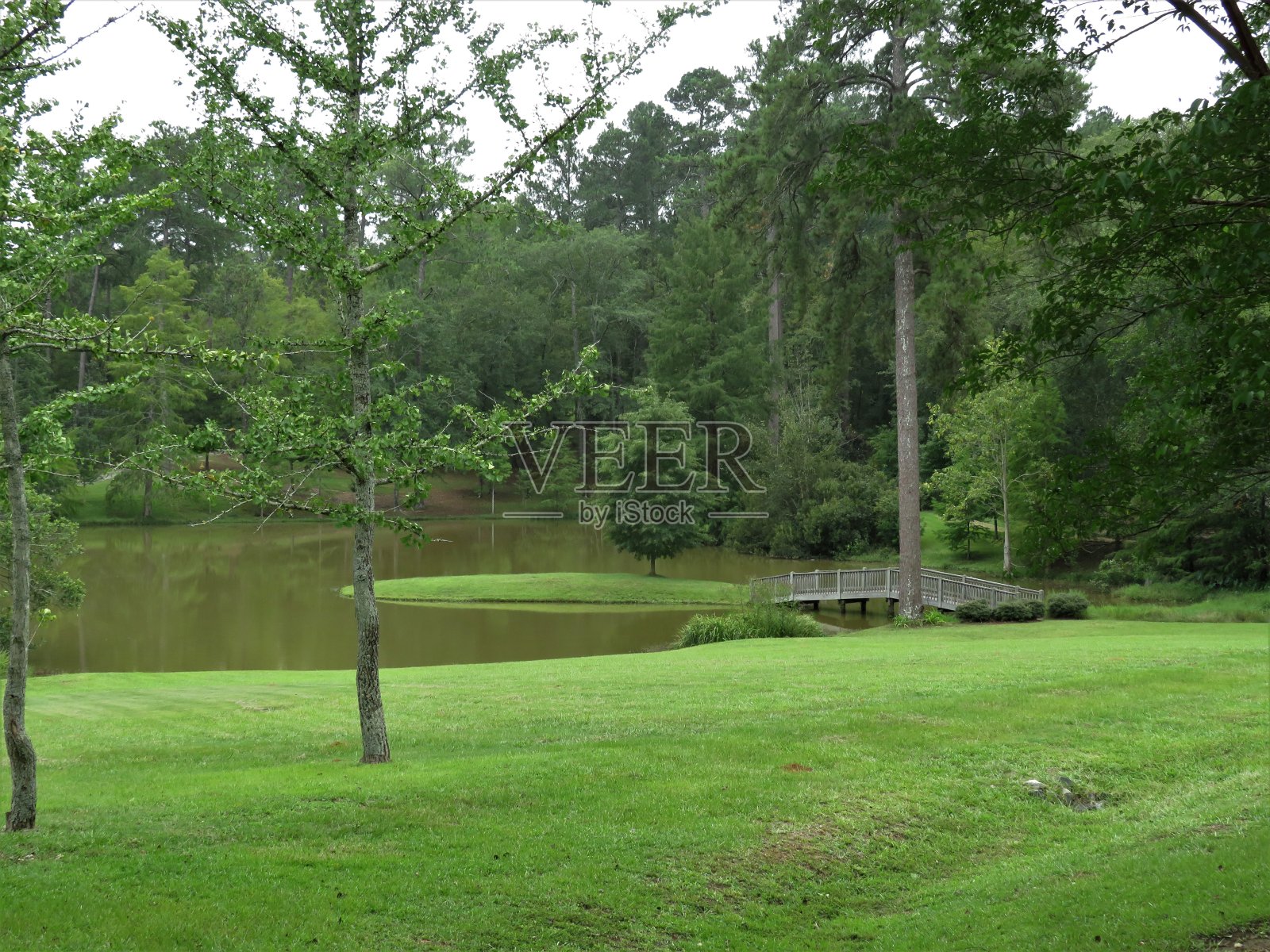 池塘对面的射击照片摄影图片