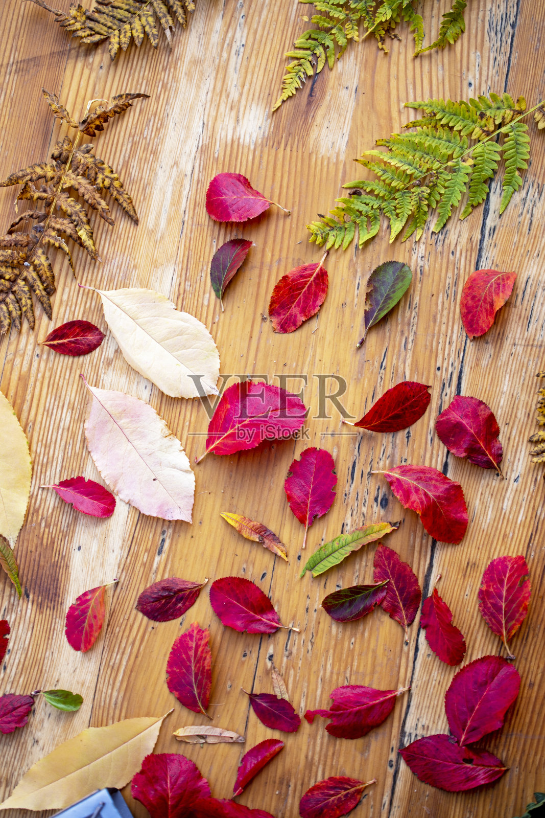 图案的秋天五彩缤纷的叶子在木制的国家桌垂直格式,自然的背景照片摄影图片