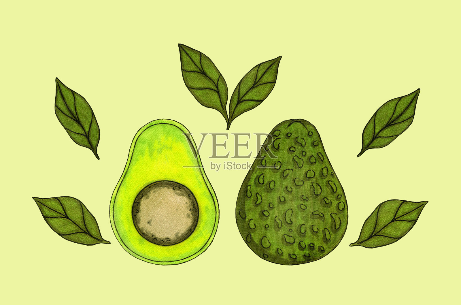 两半鳄梨,有颜色的叶子插画图片素材