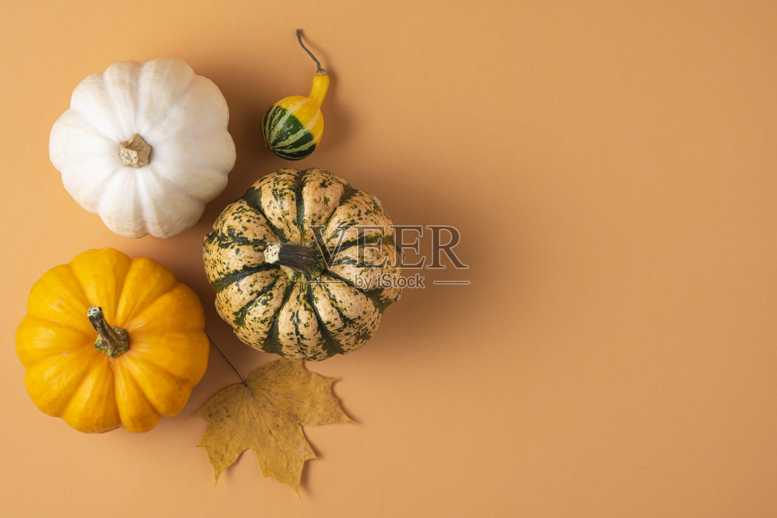 几个小的装饰彩色南瓜和枫木在橙色的背景上。照片摄影图片