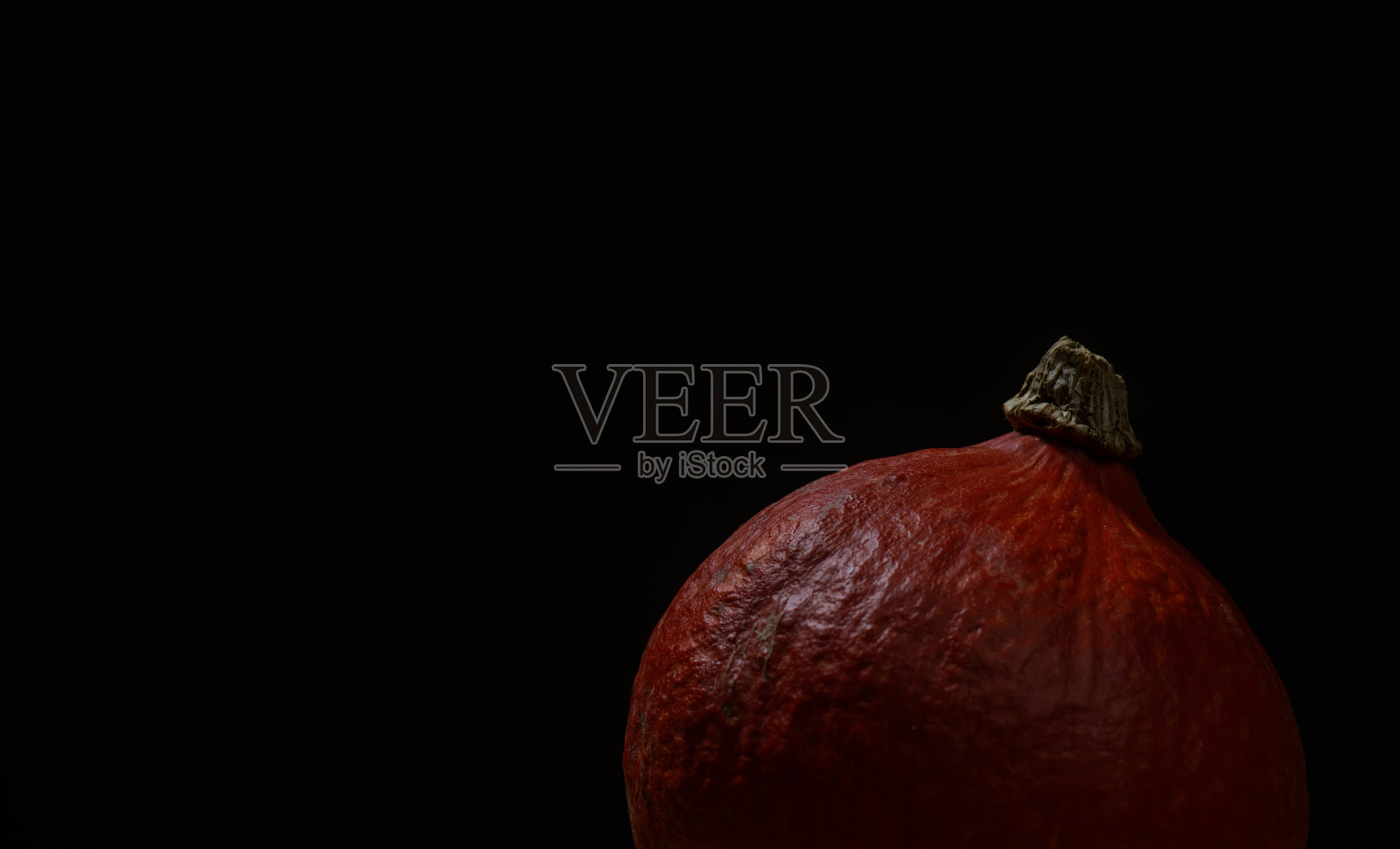 一幅北海道南瓜的肖像在前景和黑暗的背景与复制空间照片摄影图片