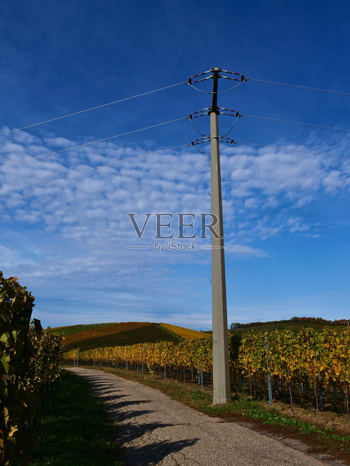 在德国德巴赫附近的秋天,一根电线杆站在一条铺好的农业道路旁边,这条道路位于葡萄园之间,叶子是褪色的绿色和黄色。照片摄影图片