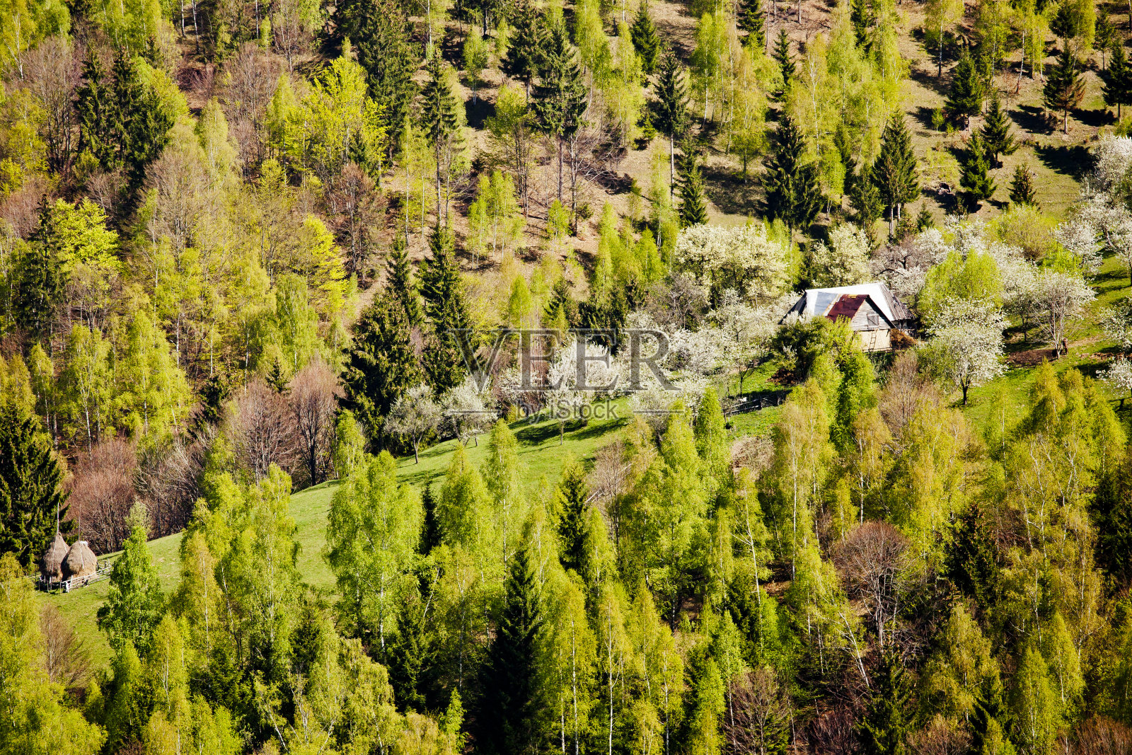 大自然的野性的一面照片摄影图片