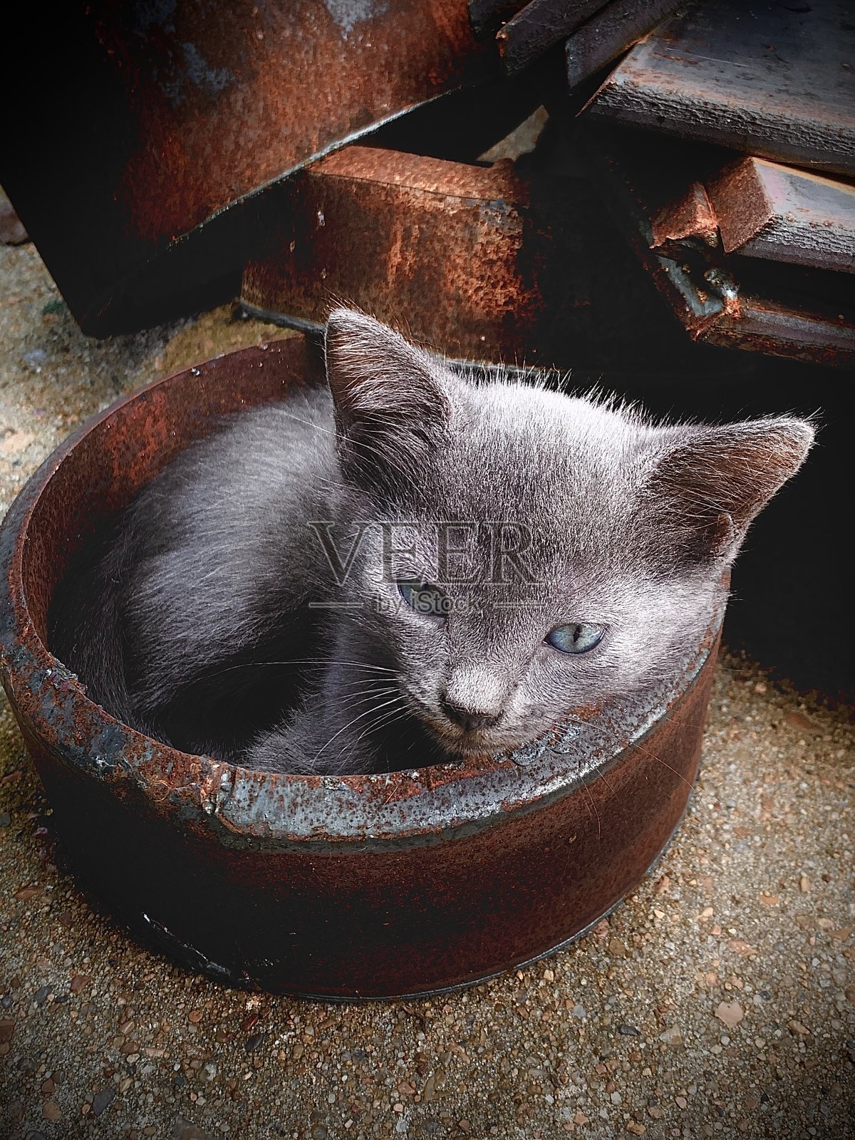 只是放松照片摄影图片