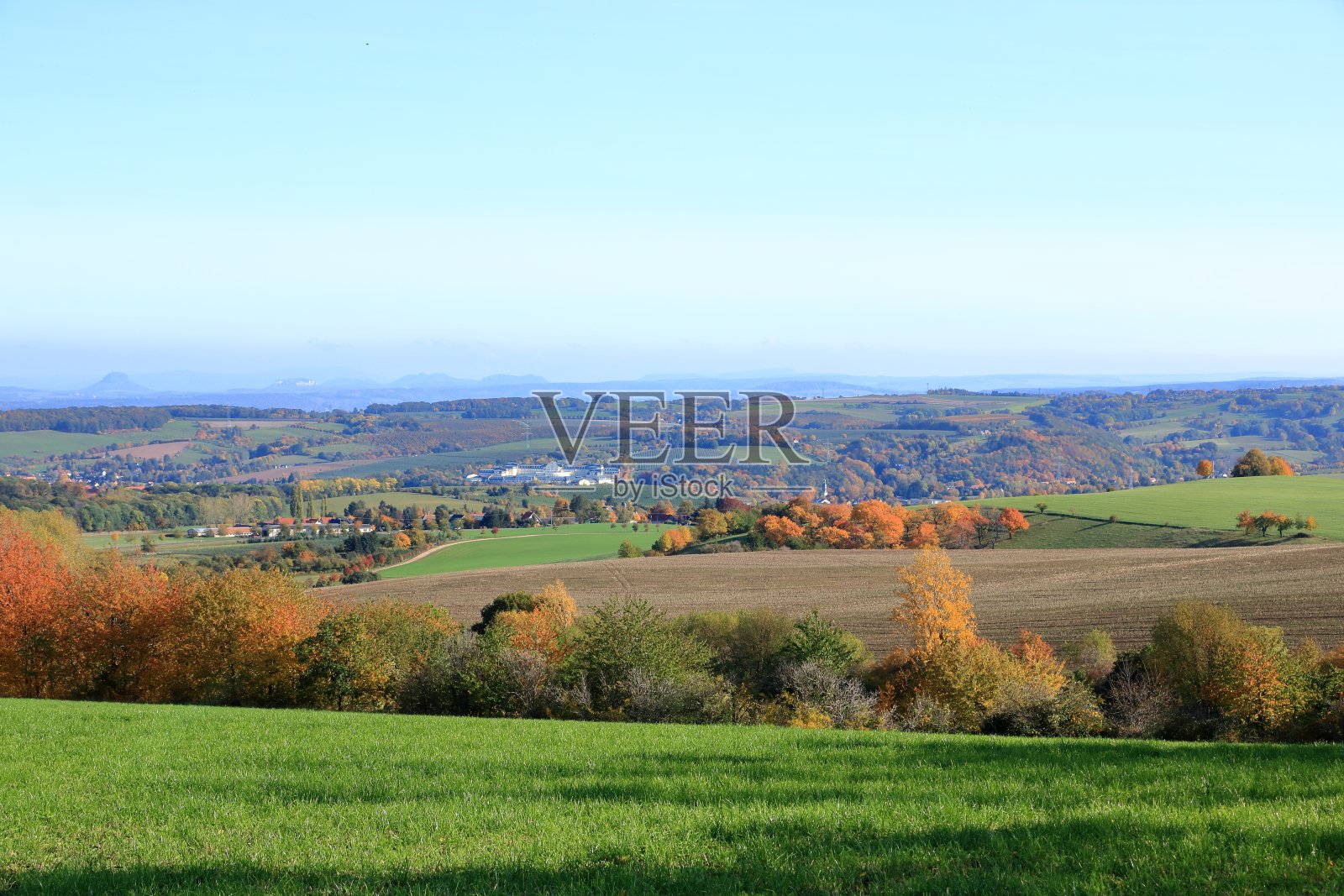 在撒克逊瑞士,草地和大的秋天树木对着蓝色的天空照片摄影图片