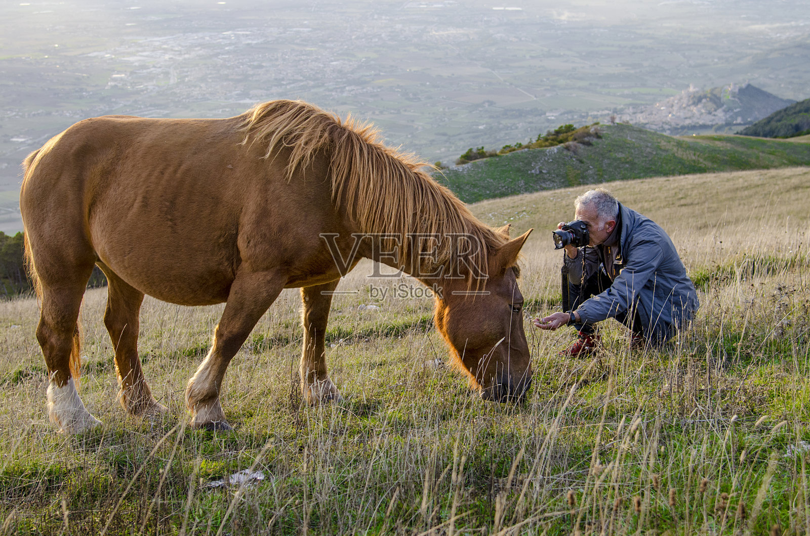 博物学家的摄影师照片摄影图片