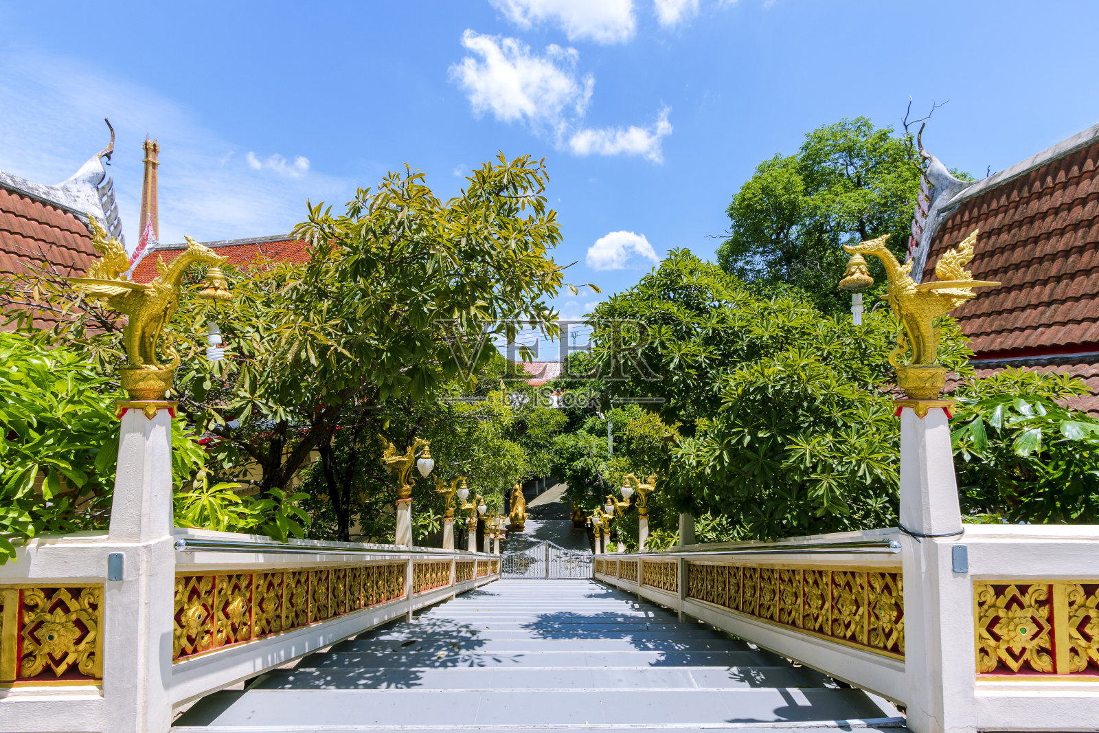 库迪通寺是泰国巴吞他尼省的一座美丽的寺庙。照片摄影图片