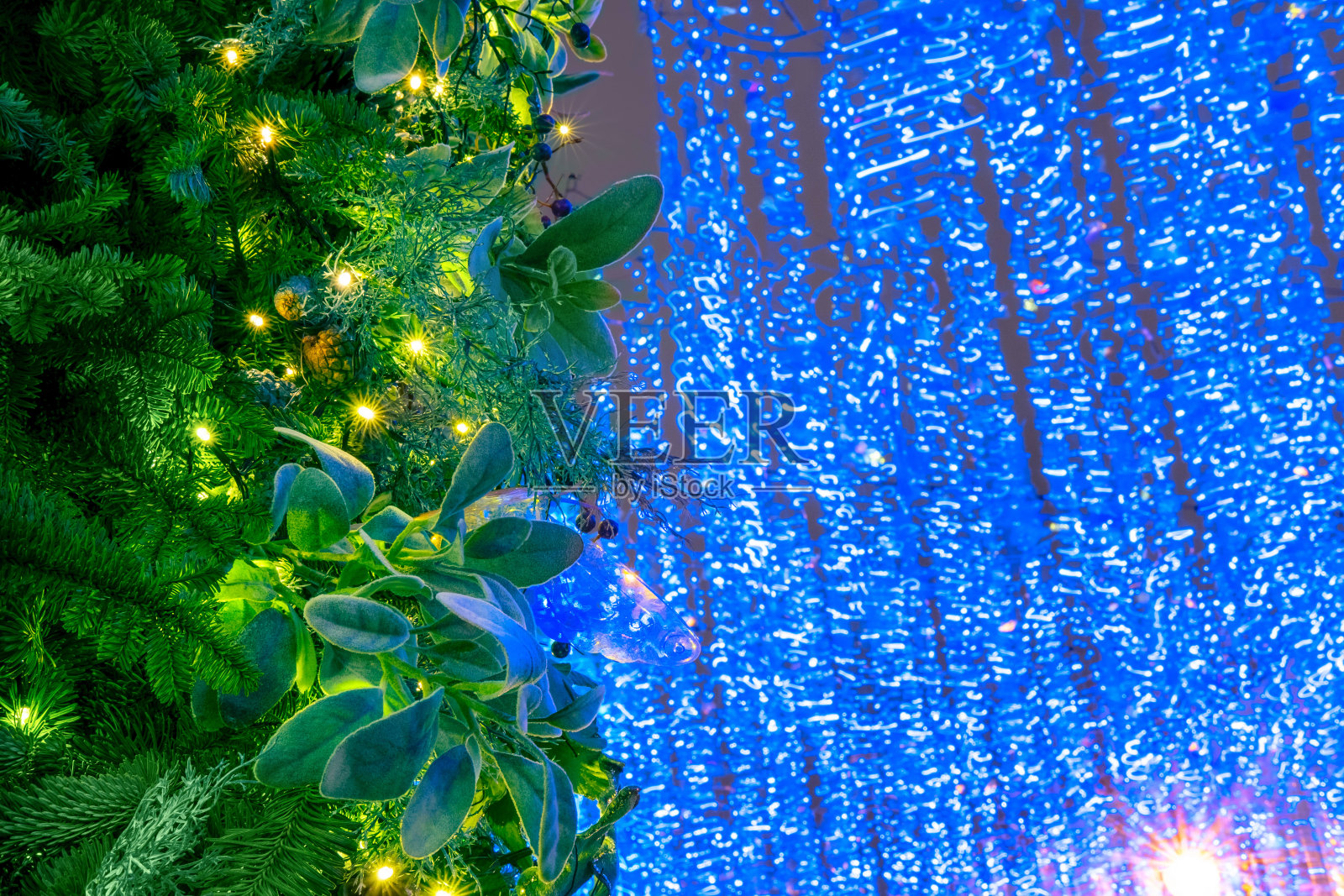 蓝灯的花环在圣诞树的树枝的背景,散。灯光照在青云杉上,复制空间照片摄影图片