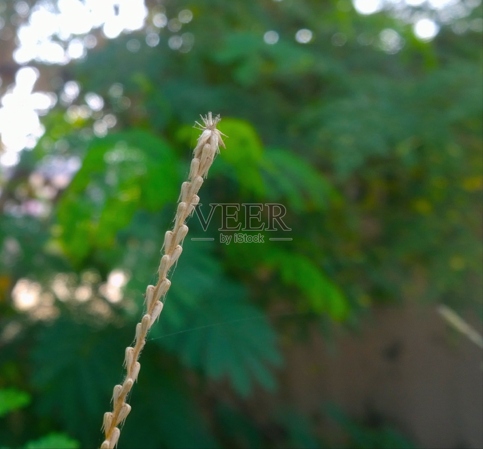 美照片摄影图片