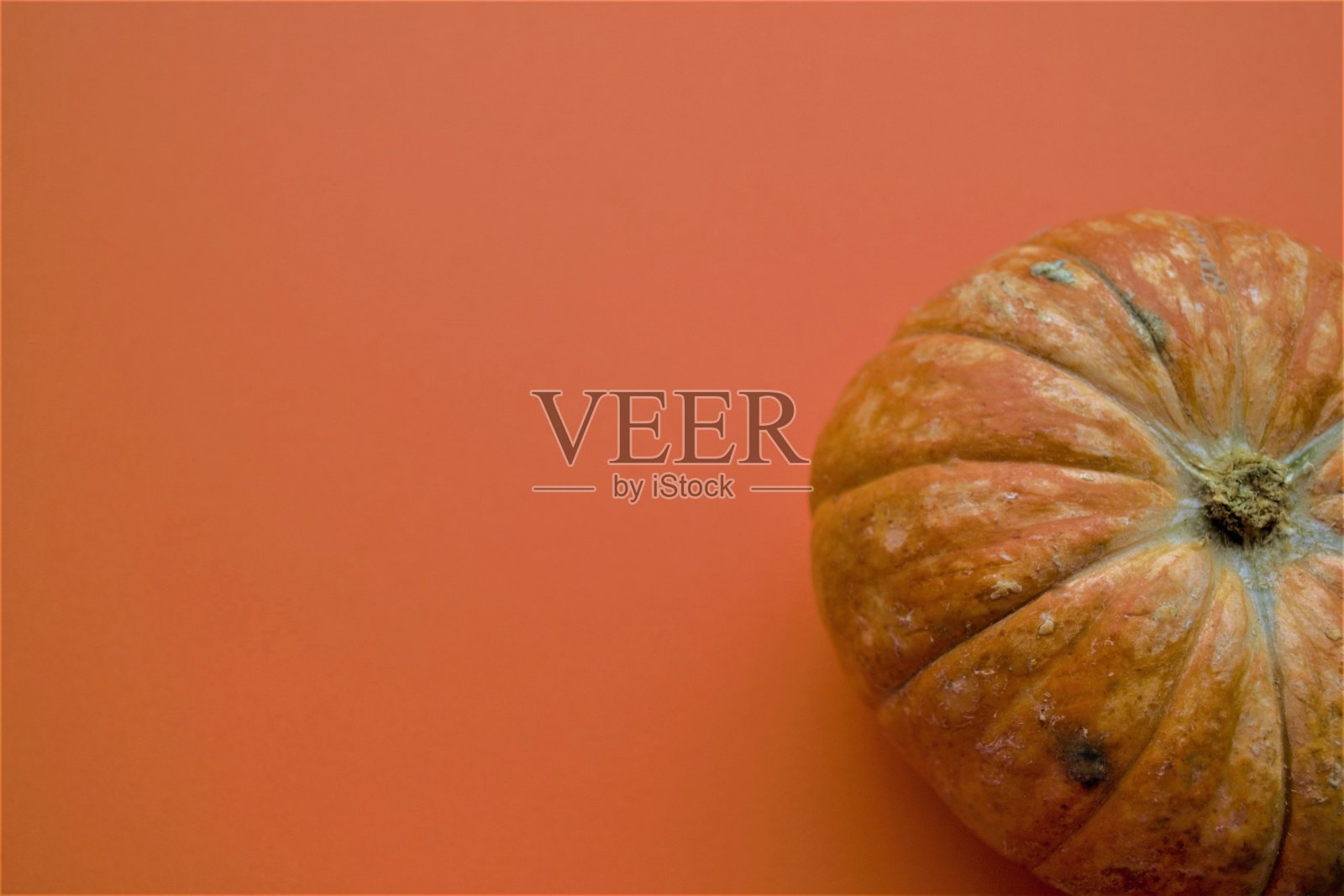 一个南瓜的特写,在明亮的橙色背景和文字空间的右侧窥视照片摄影图片