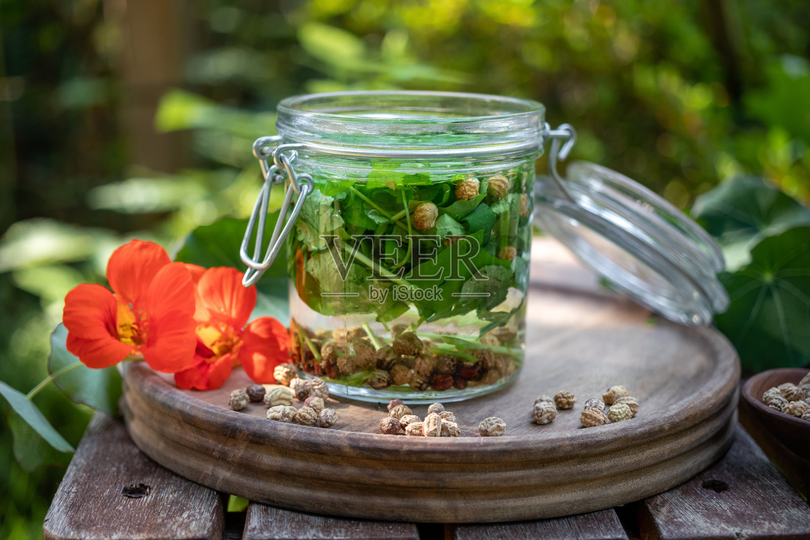 玻璃罐中制备旱金莲酊,与新鲜开花的大戟草照片摄影图片