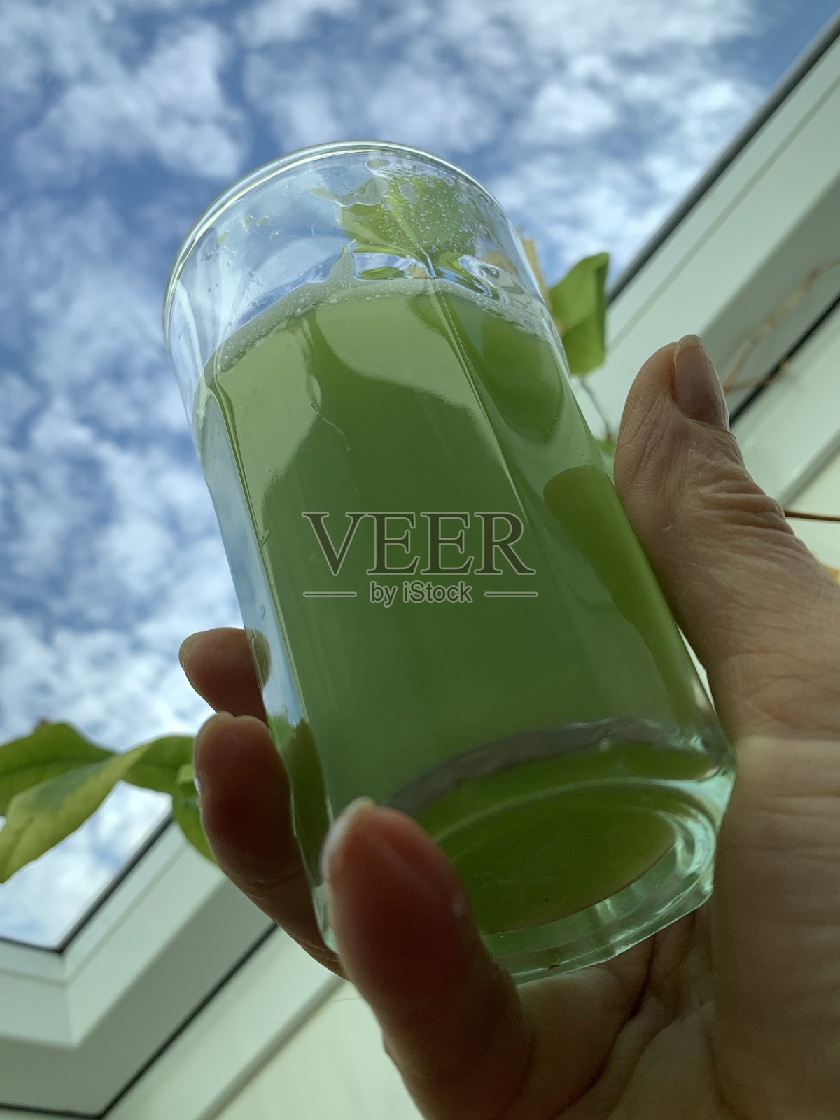 手里拿着一杯绿芹菜汁照片摄影图片