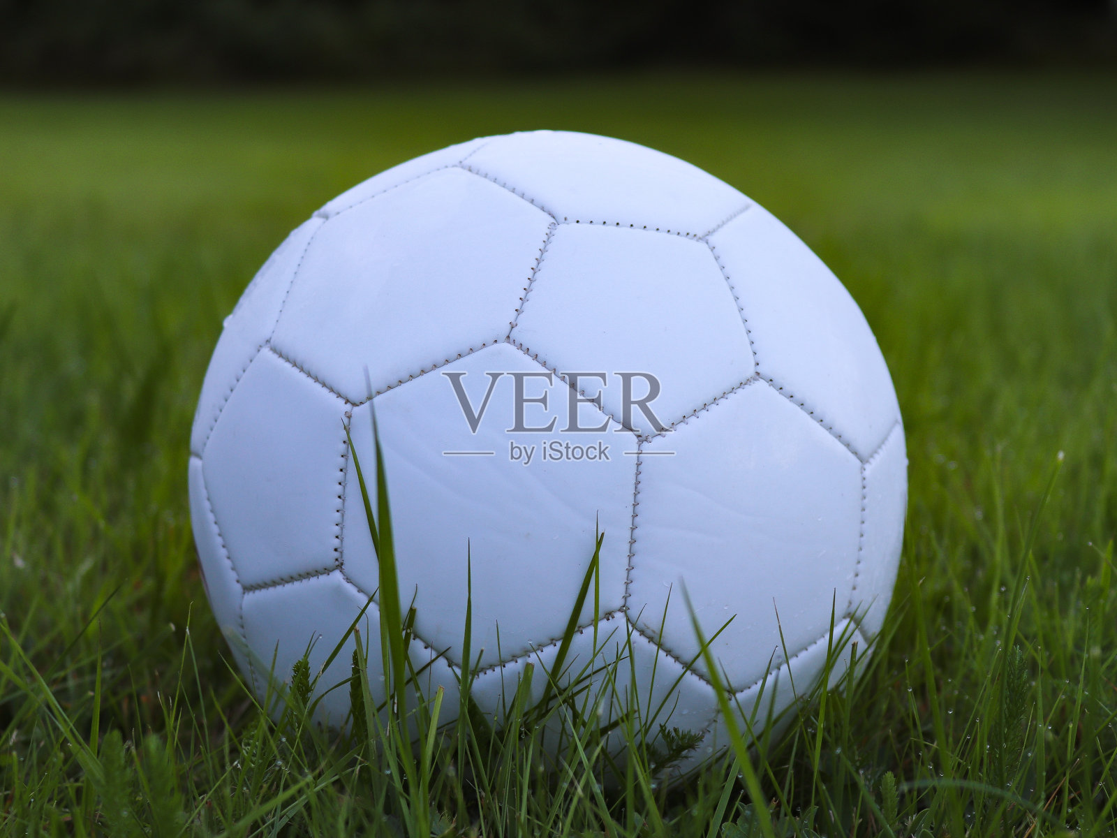 绿色的草地上有白色的足球照片摄影图片