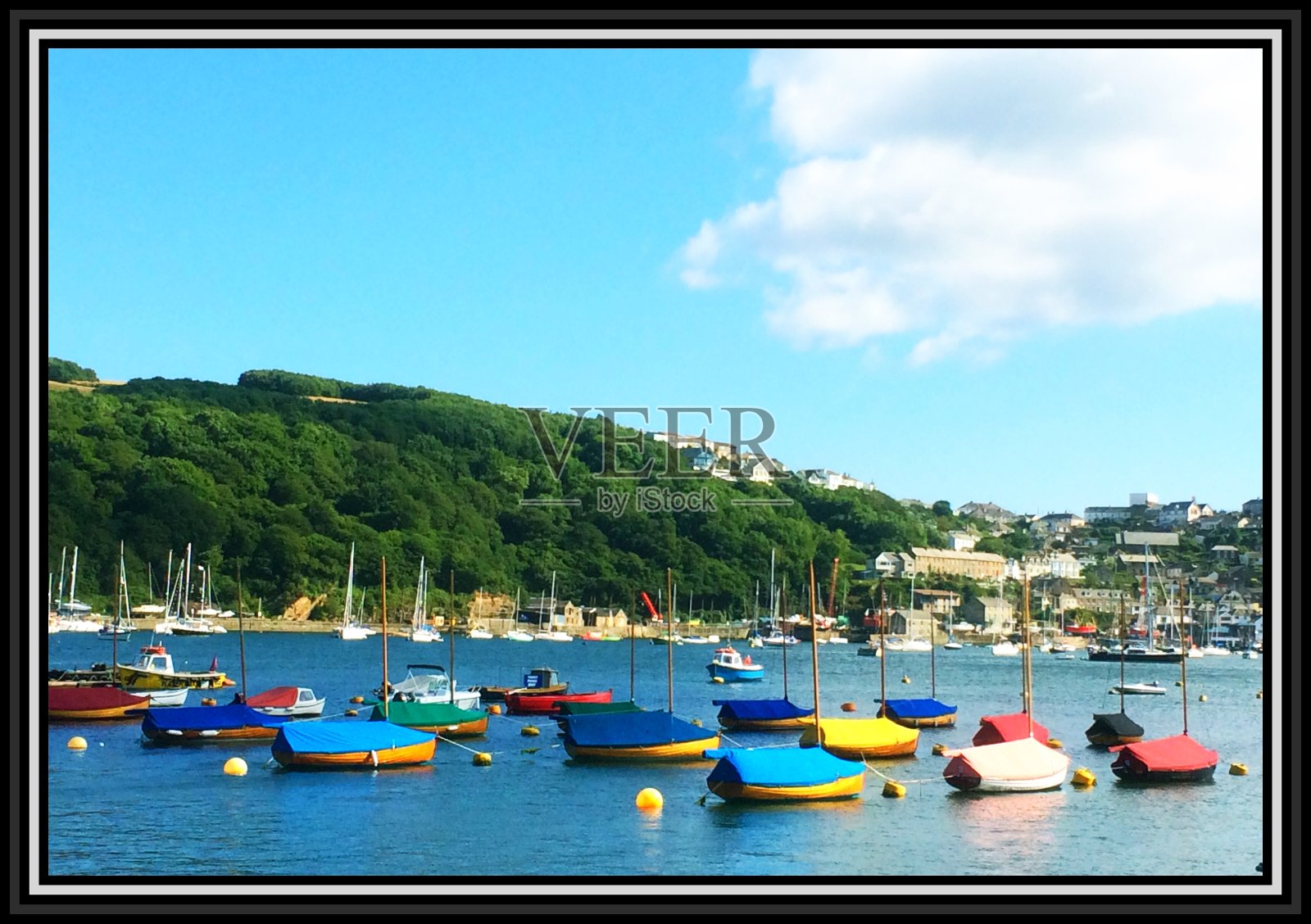 英国康沃尔郡森林里的真菌照片摄影图片