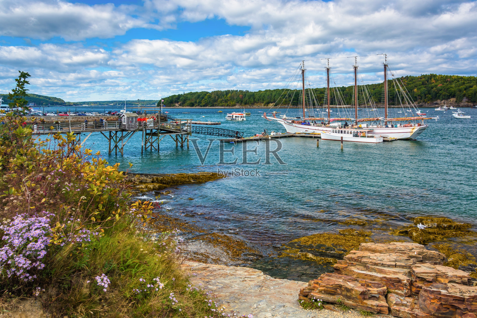 缅因州巴尔港的岩石海岸和港口的船只照片摄影图片