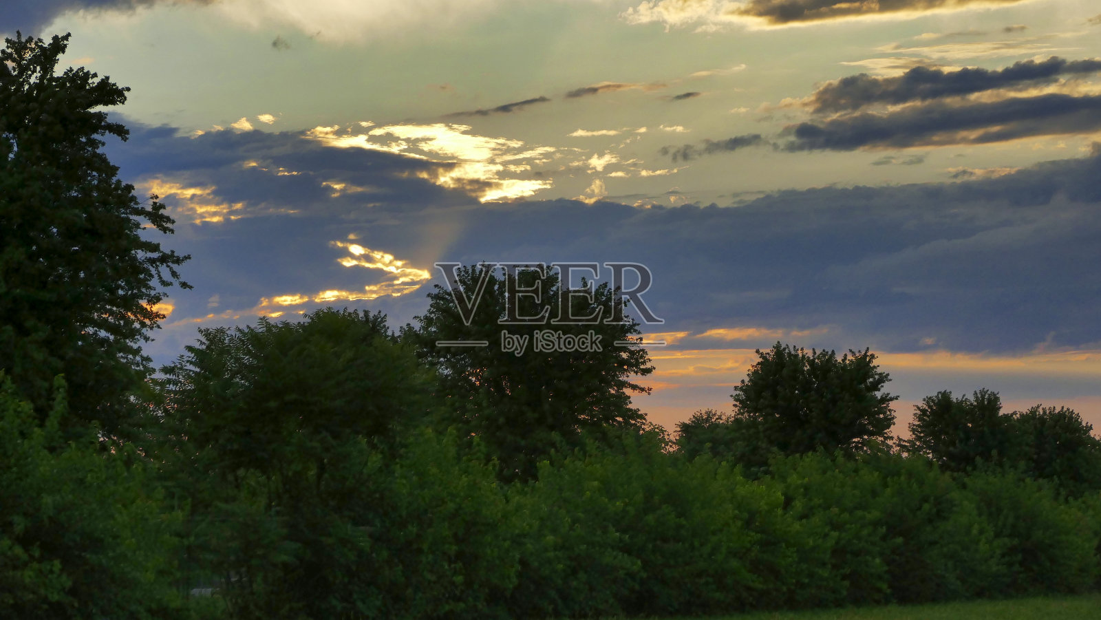 日落景观通过树木与太阳射线照片摄影图片