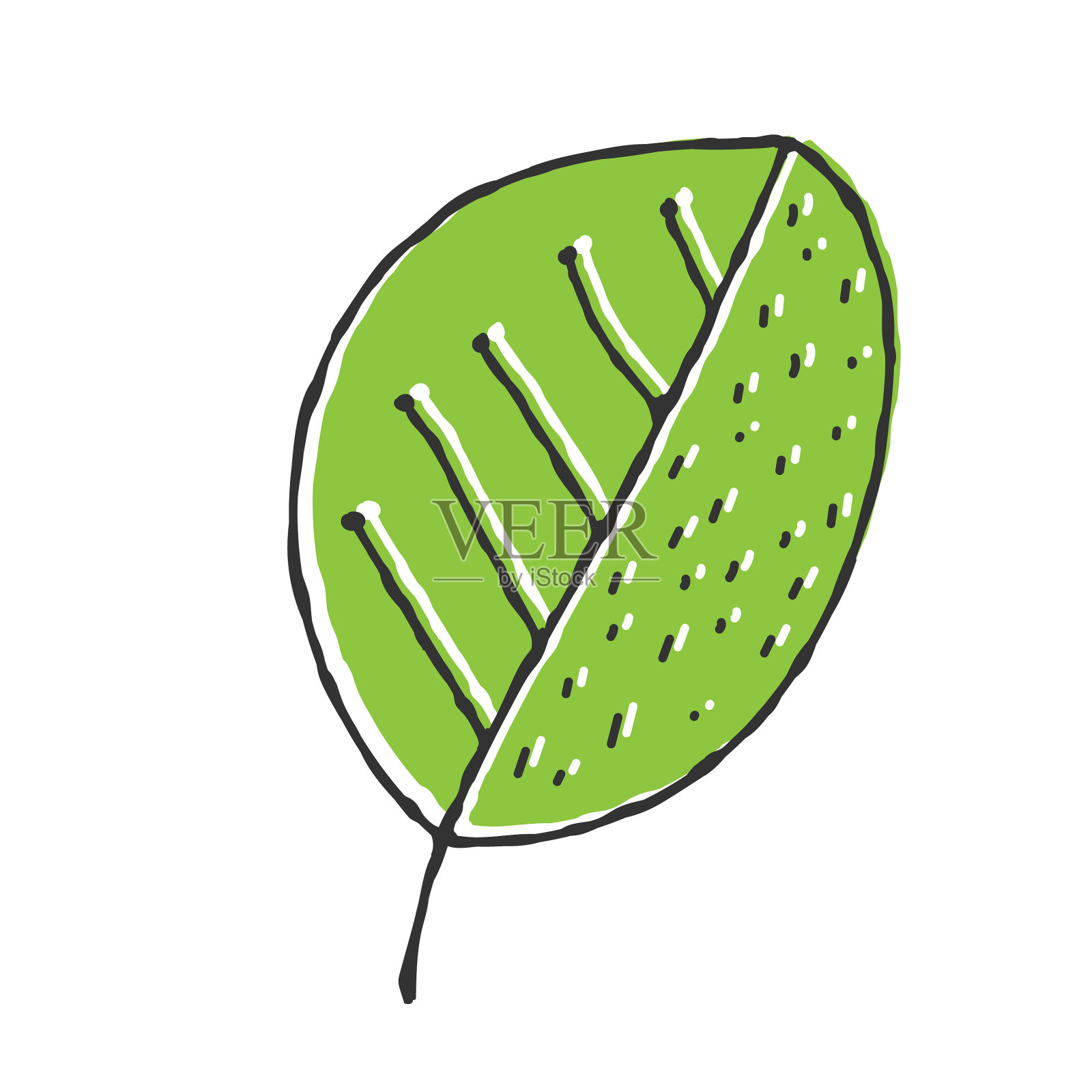 彩色手绘植物叶子涂鸦风格设计元素图片