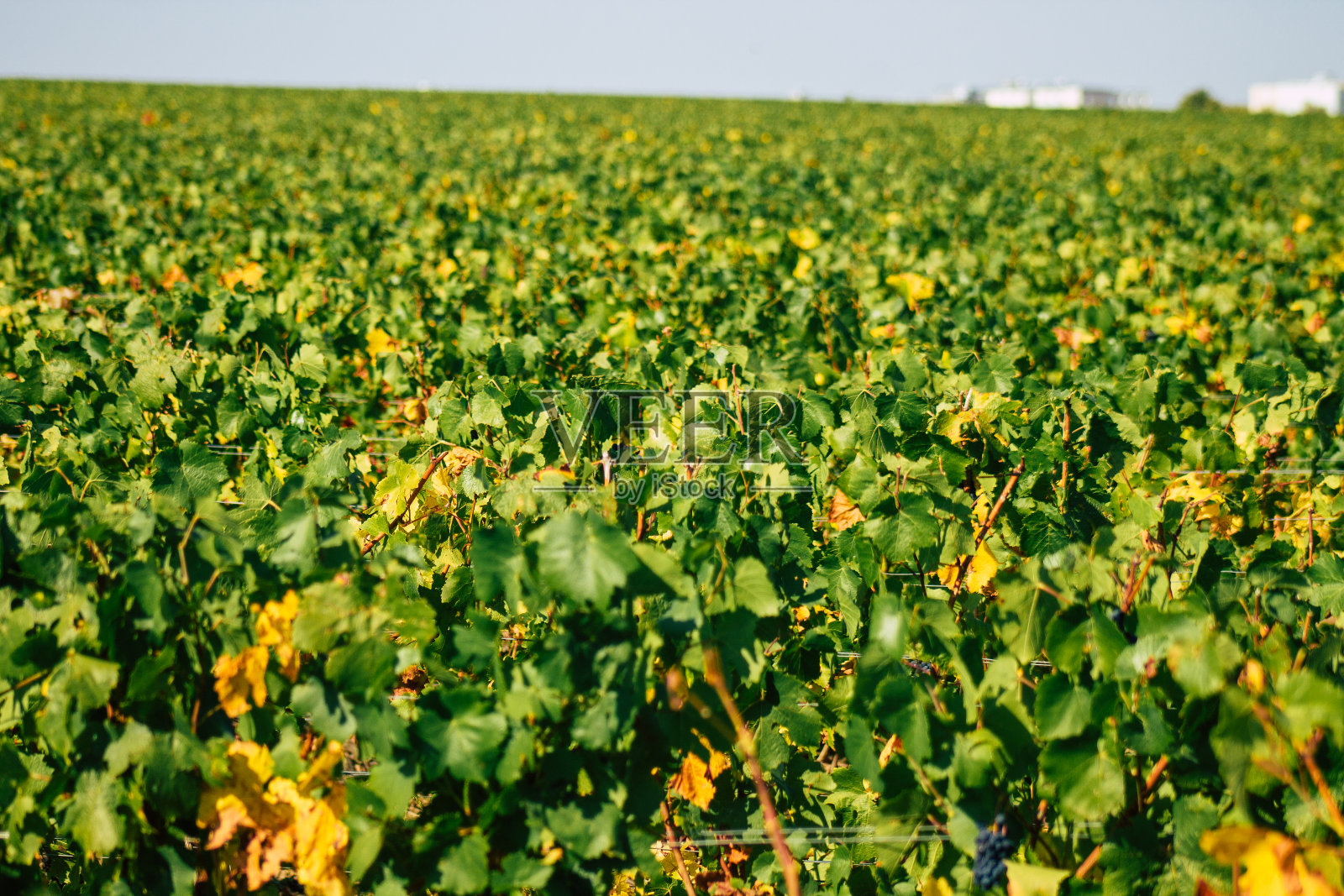 法国的颜色照片摄影图片