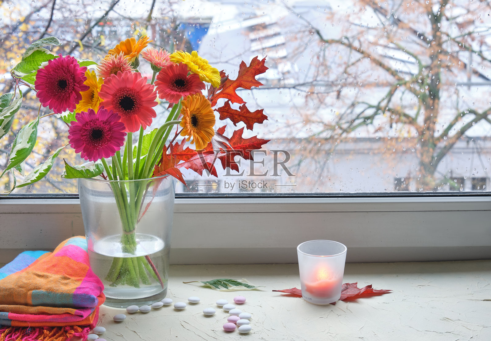 玻璃花瓶里放着一束非洲菊的窗板。秋冬的树在窗后照片摄影图片