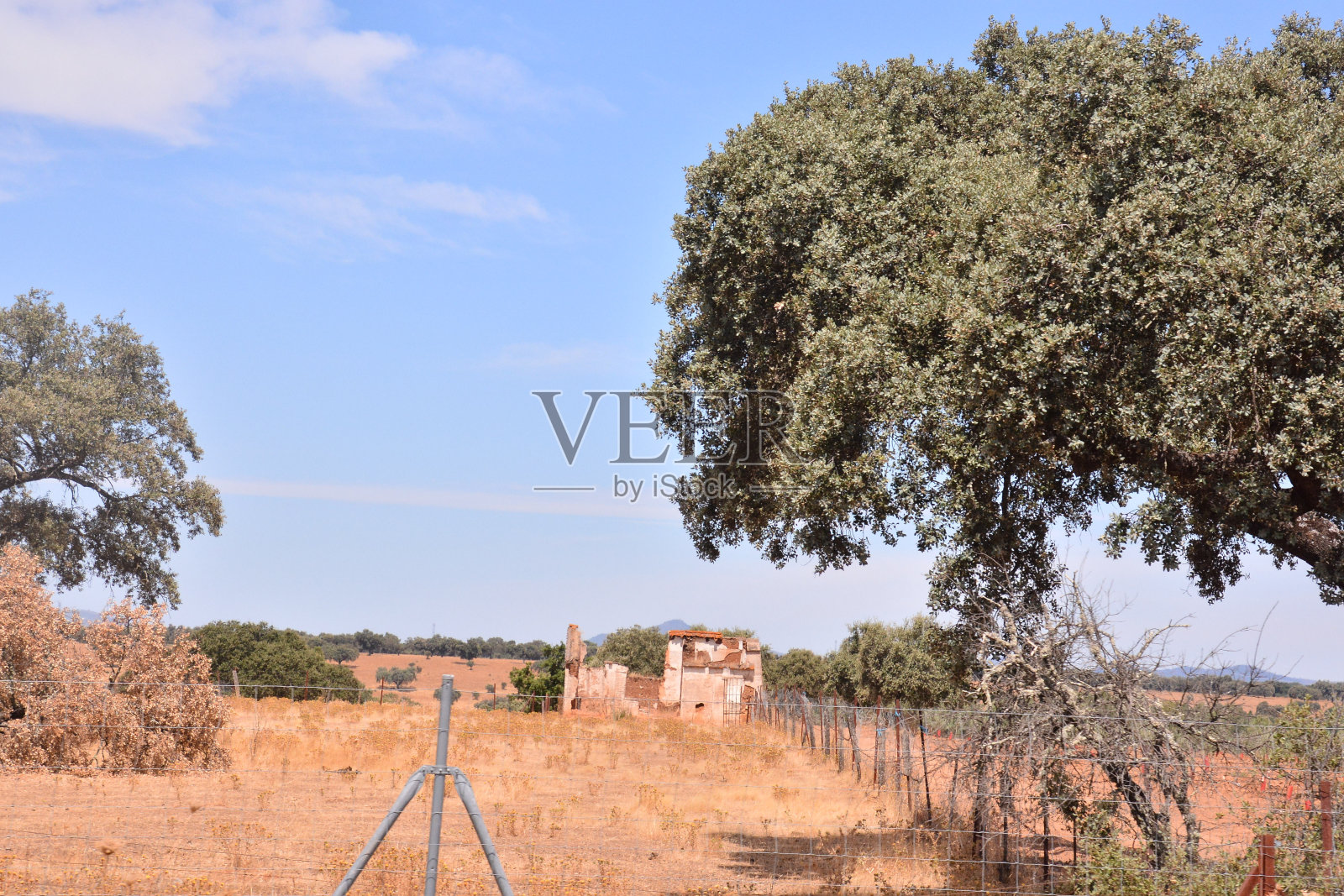 欧洲自然乡村照片摄影图片