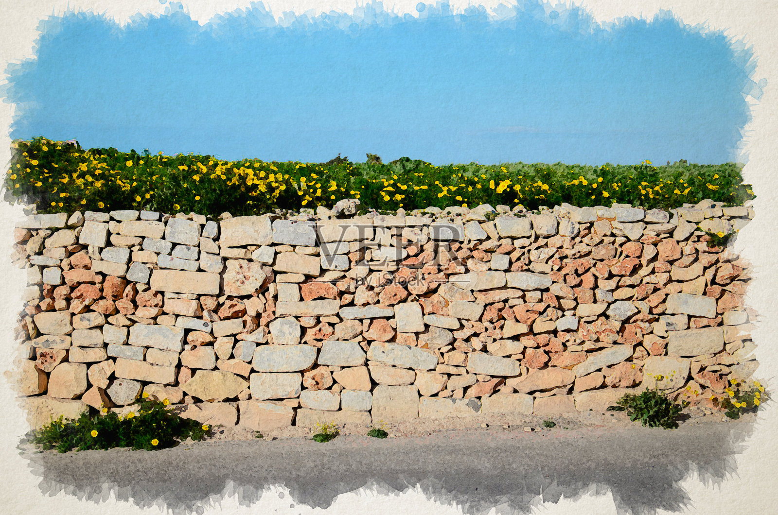 马耳他丁利悬崖附近的石砖、沥青街、甘菊田间、黄橙墙、黄橙墙水彩画照片摄影图片