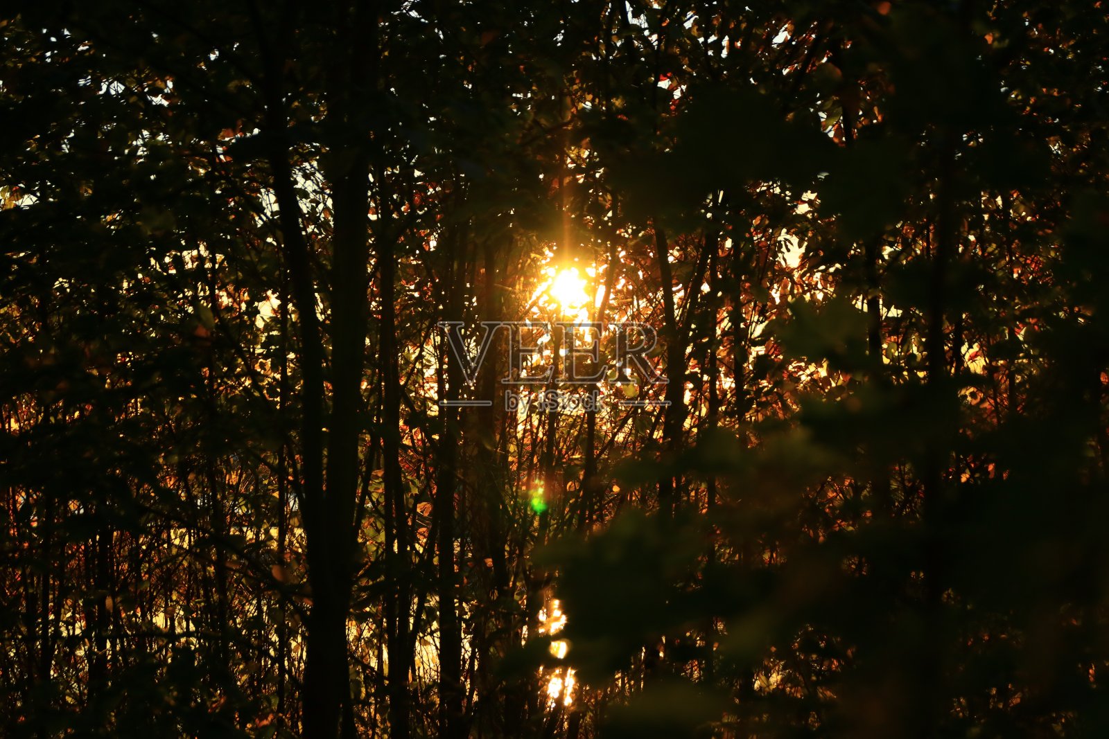 隐藏和太阳!照片摄影图片