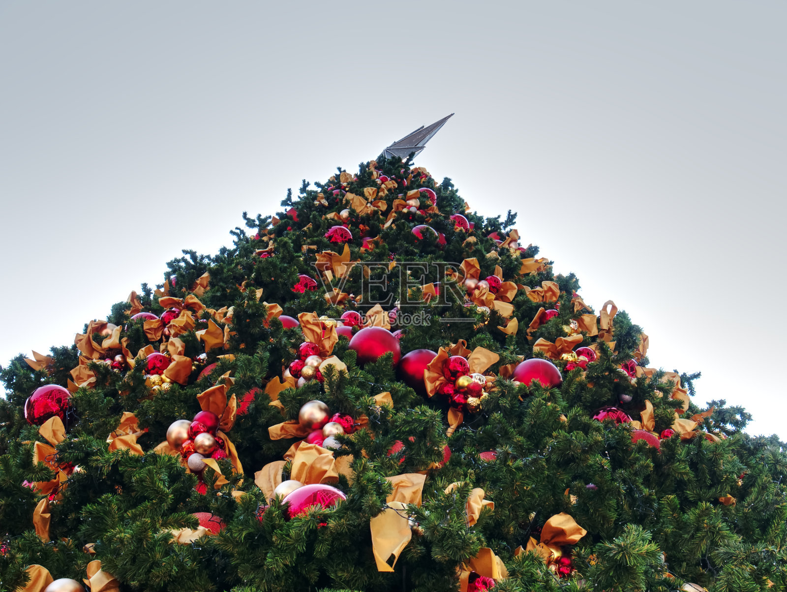 用红球和金色丝带装饰的圣诞树照片摄影图片