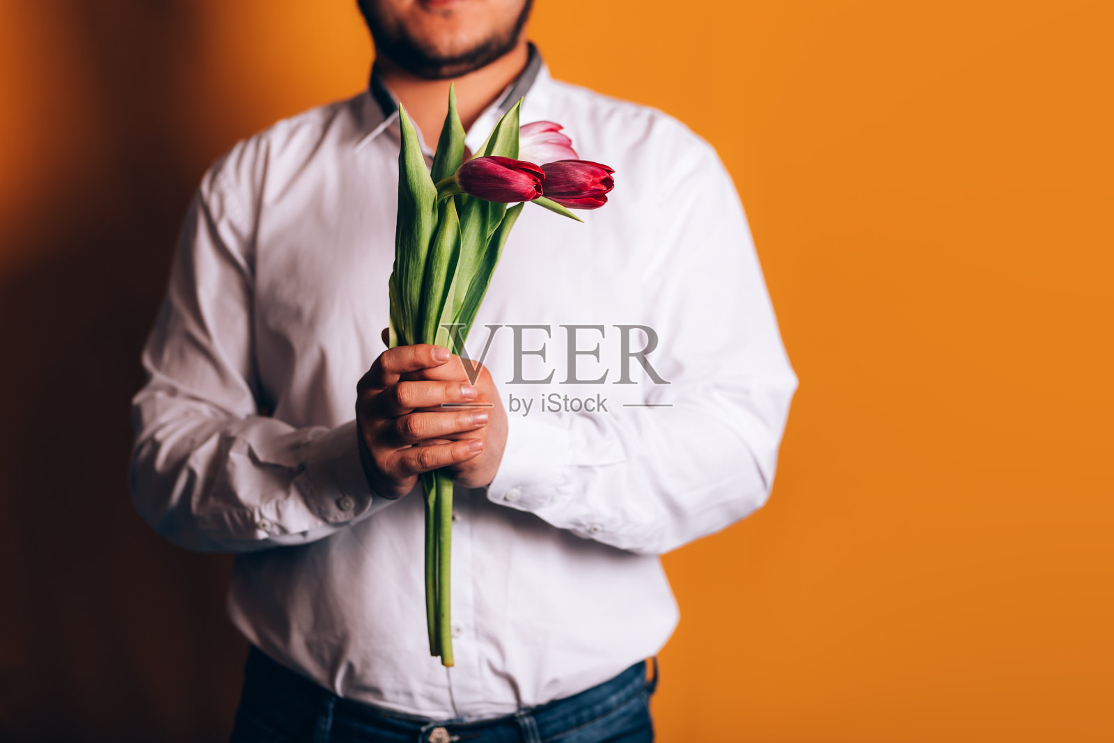 人认为郁金香照片摄影图片