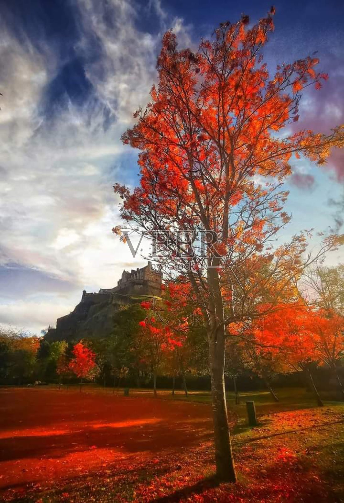 橙色的下降照片摄影图片