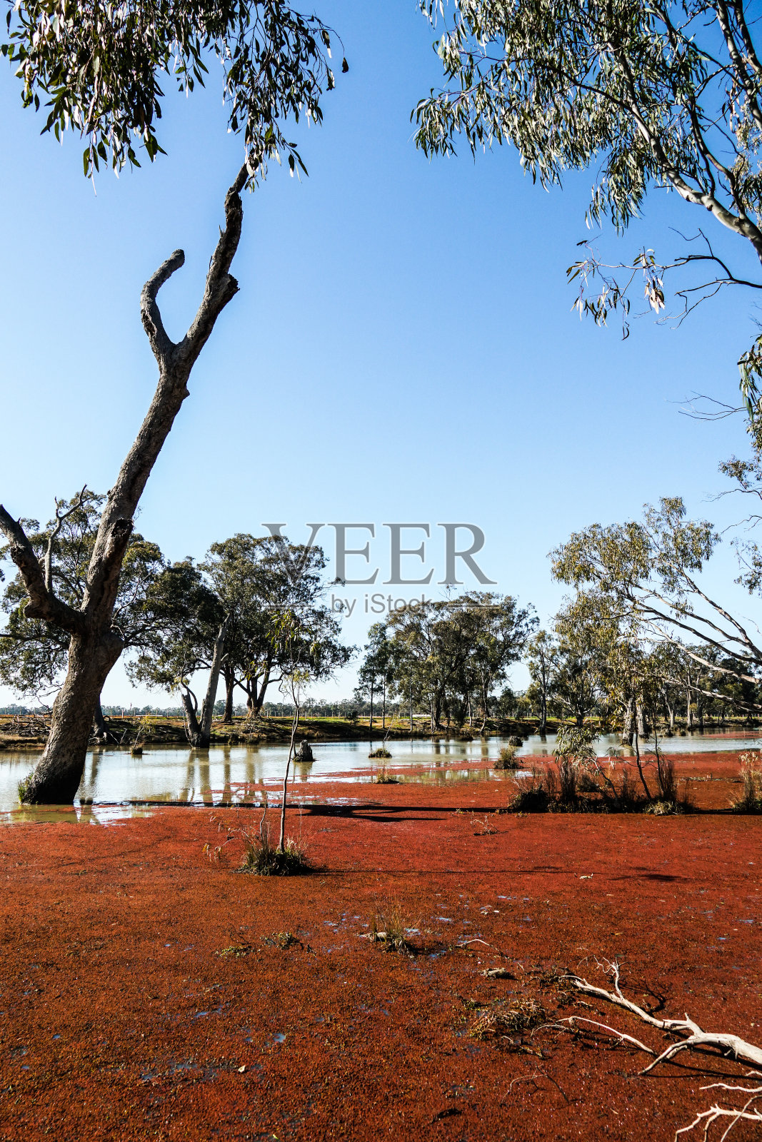 下莫伊拉,维多利亚,澳大利亚照片摄影图片